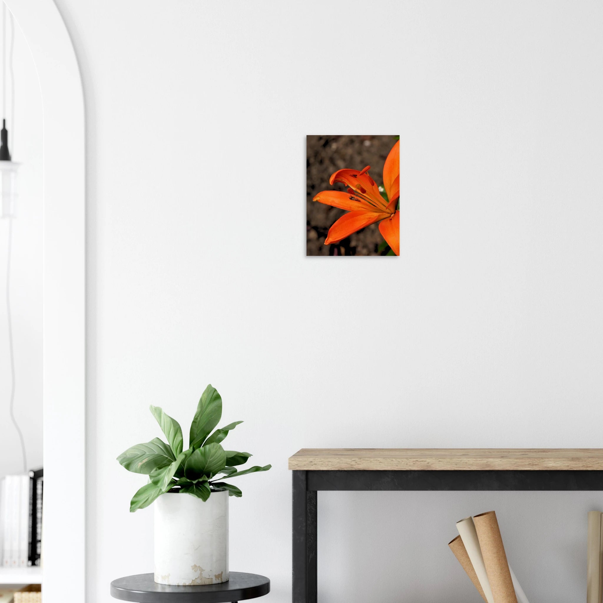 0c23ccc2-942c-4c75-b2a9-303875a3f736