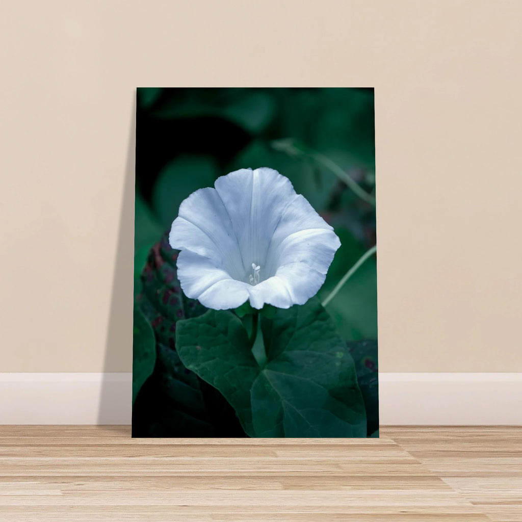 1307012e-57ab-4d27-9050-a4fdfce65f2e