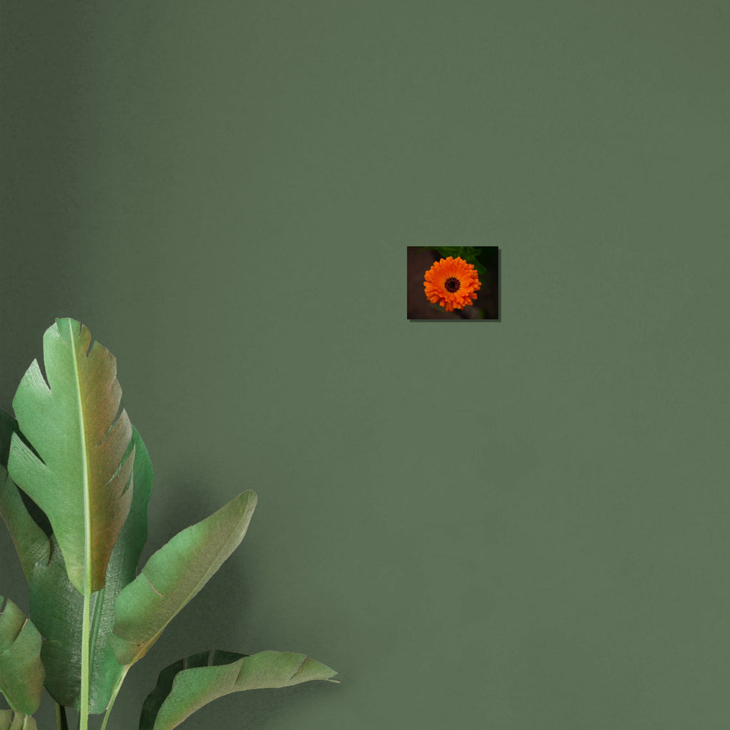 17576732-cabb-4602-b621-e8398f3400f0