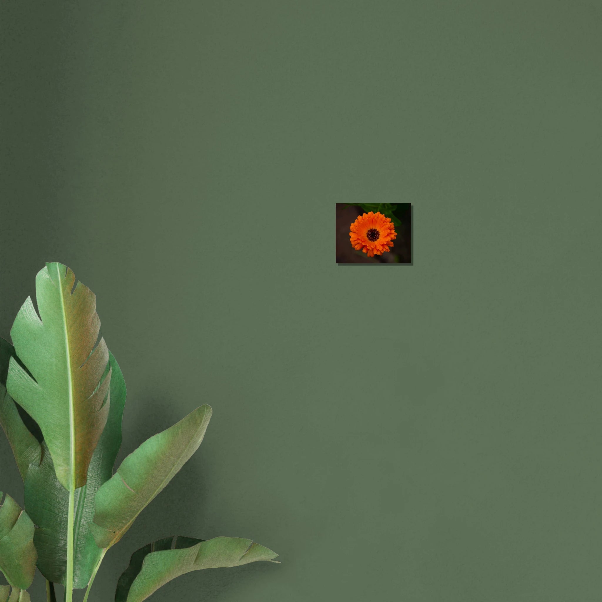 17576732-cabb-4602-b621-e8398f3400f0