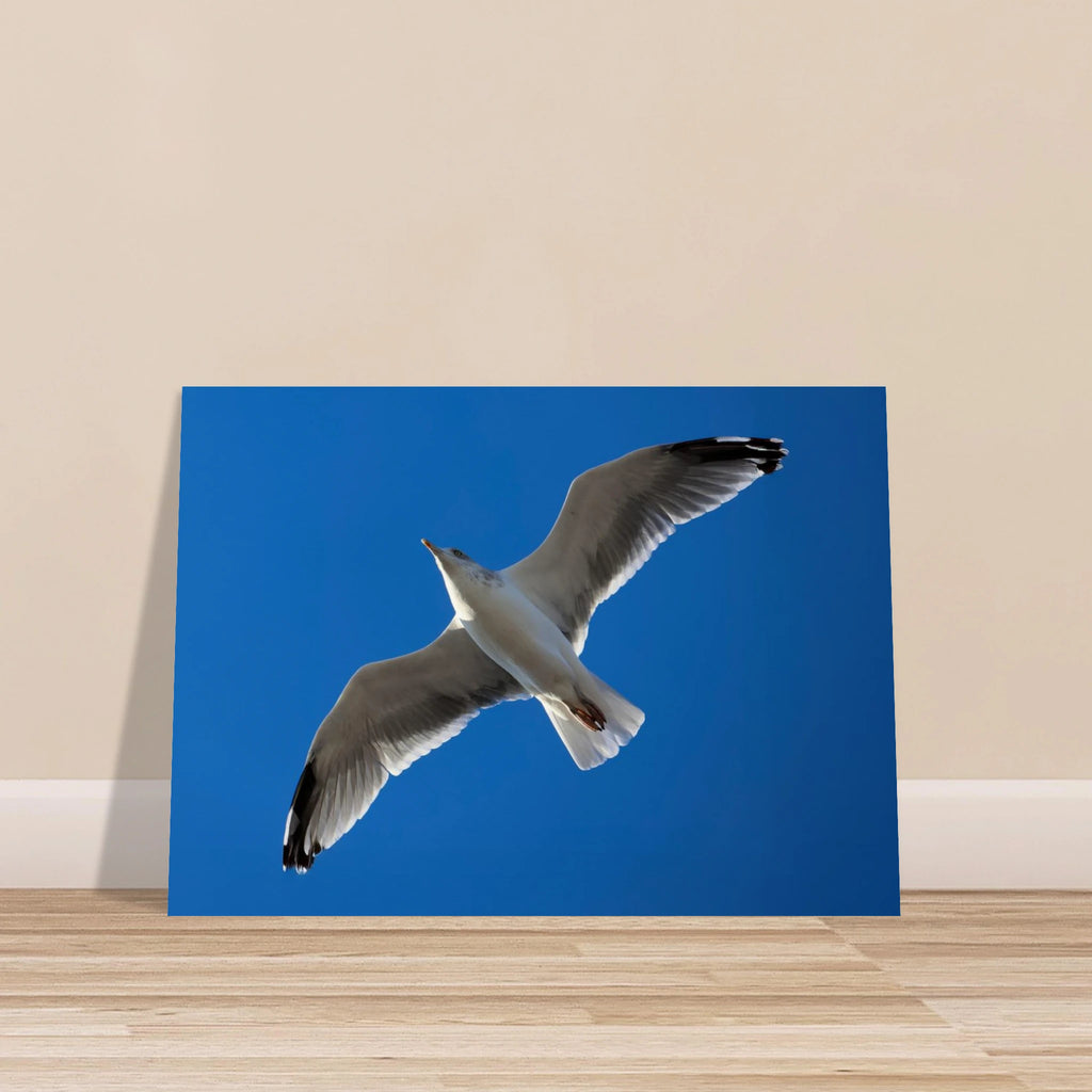 179b6193-ea86-407f-a095-00e4162caf22