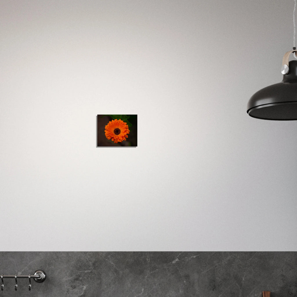 192abbf4-d3a7-4f99-b62f-22d83d97784b