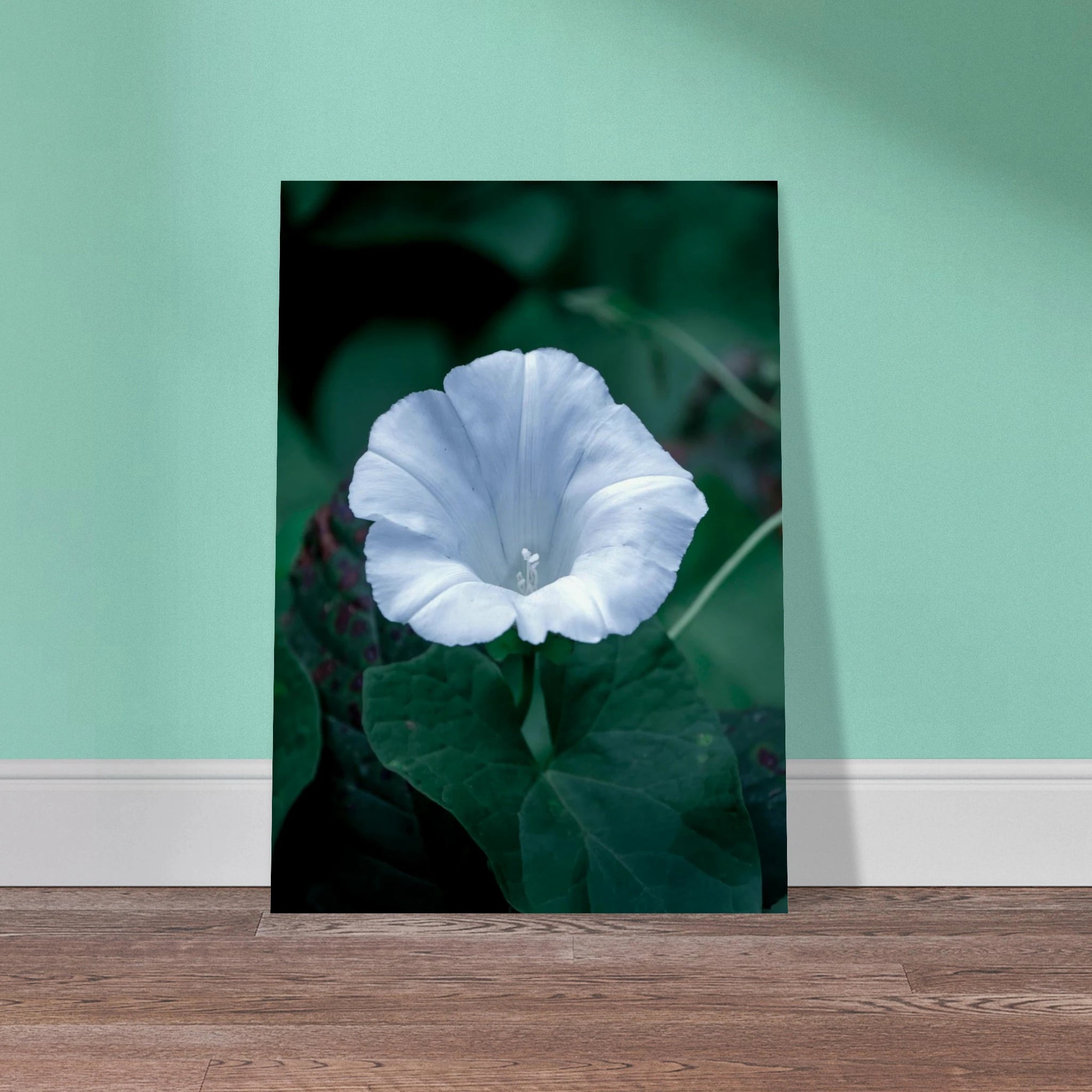 1e3bda96-bcb2-4ee9-8ab0-e145c8afdedc