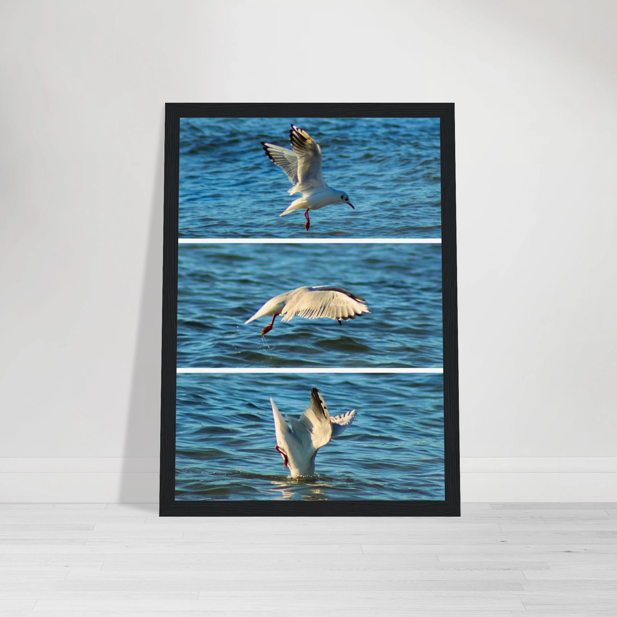 2620d5ff-4400-45bf-8724-d56dbf8494e2