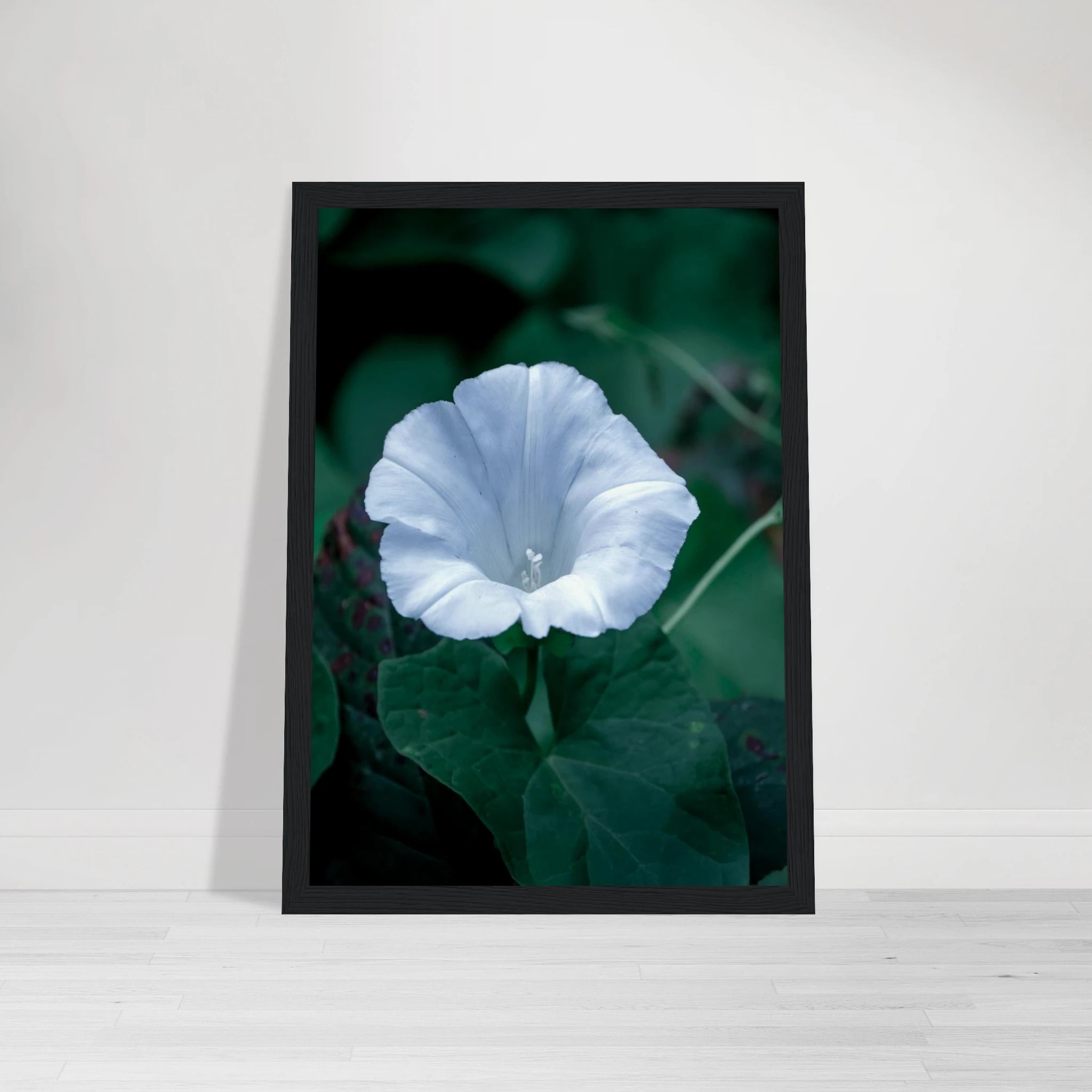 3c6a86b2-8a7c-48f6-8e66-4eca84f15663