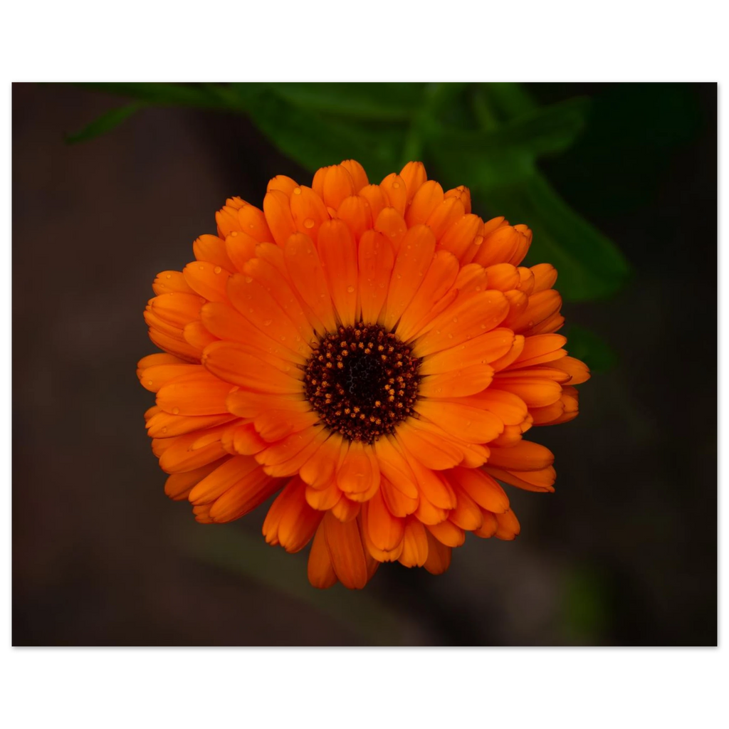 4308fbf6-d636-4737-8610-9563f0bc4668