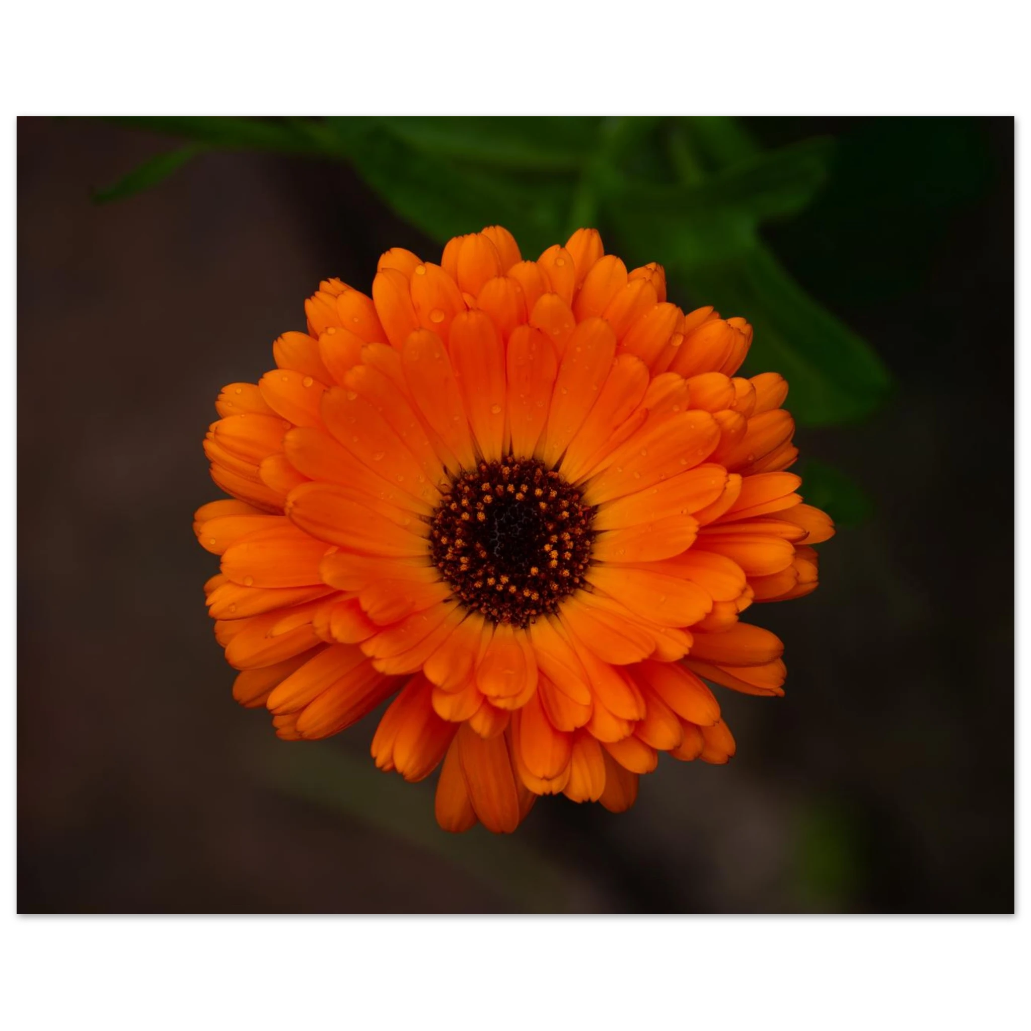 4308fbf6-d636-4737-8610-9563f0bc4668