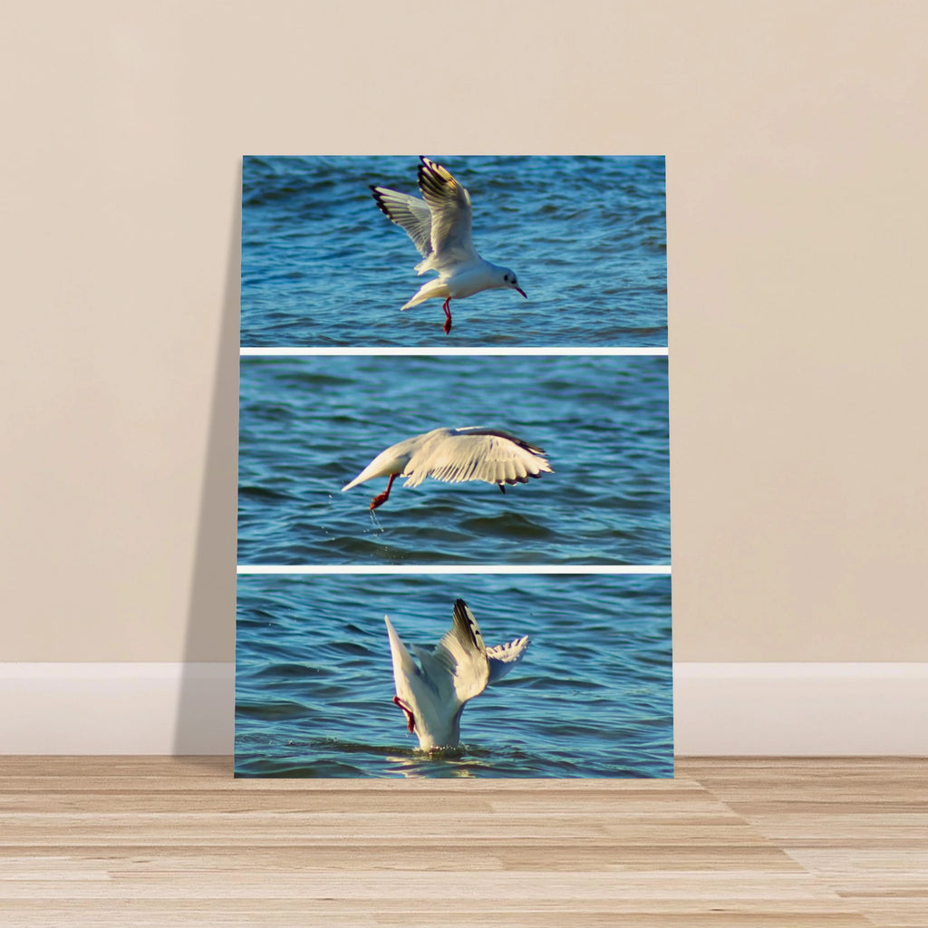 46b35070-6820-4079-b5a2-3ce8b8166159