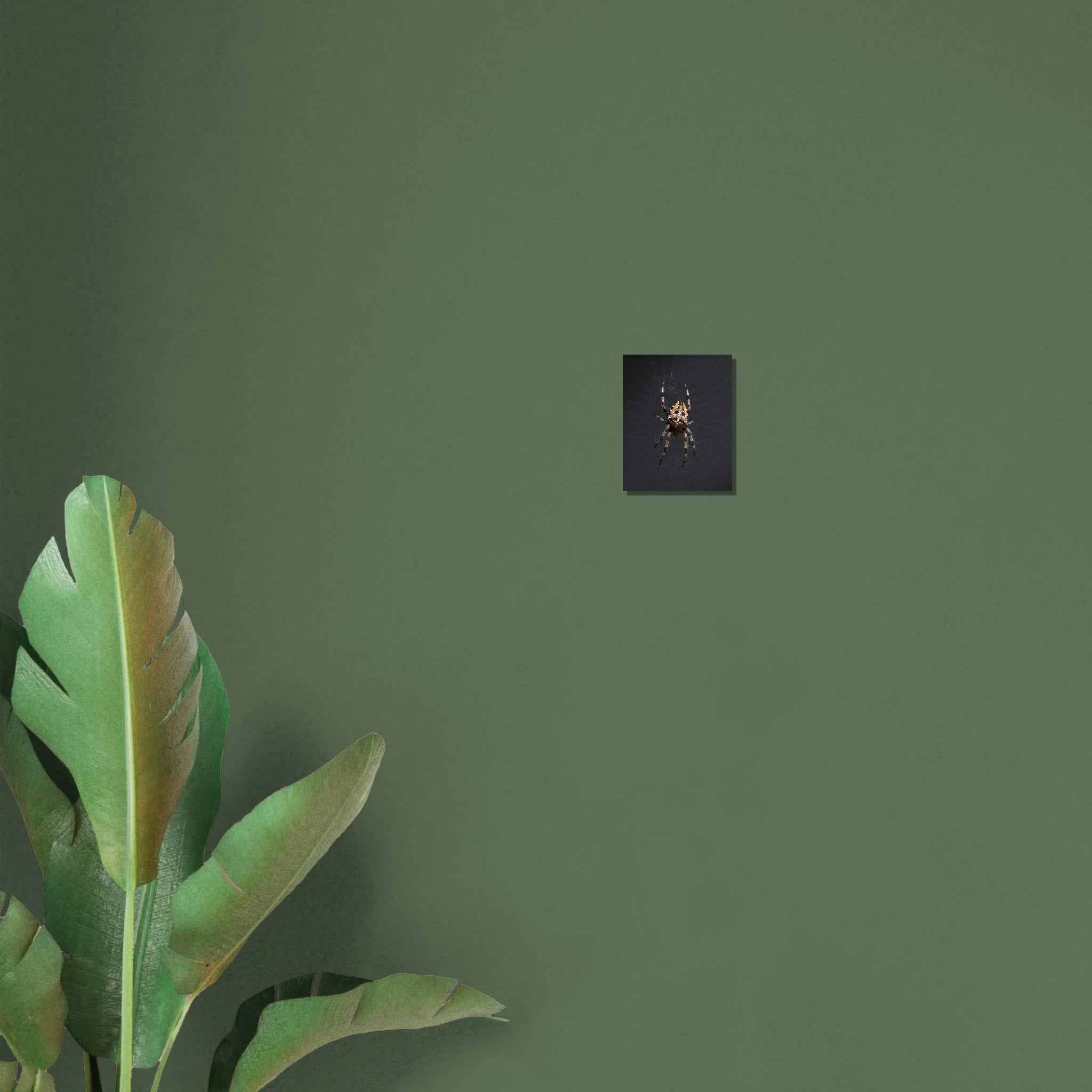 51461eb6-4143-43b1-893f-bd05e9d24f8a