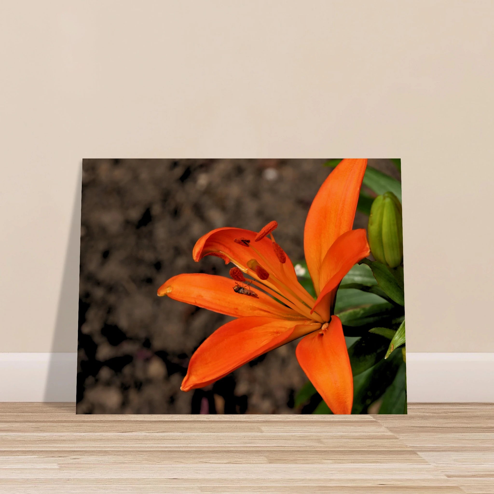 5c5ae87b-3e1e-4c7c-b428-39efbf57d314