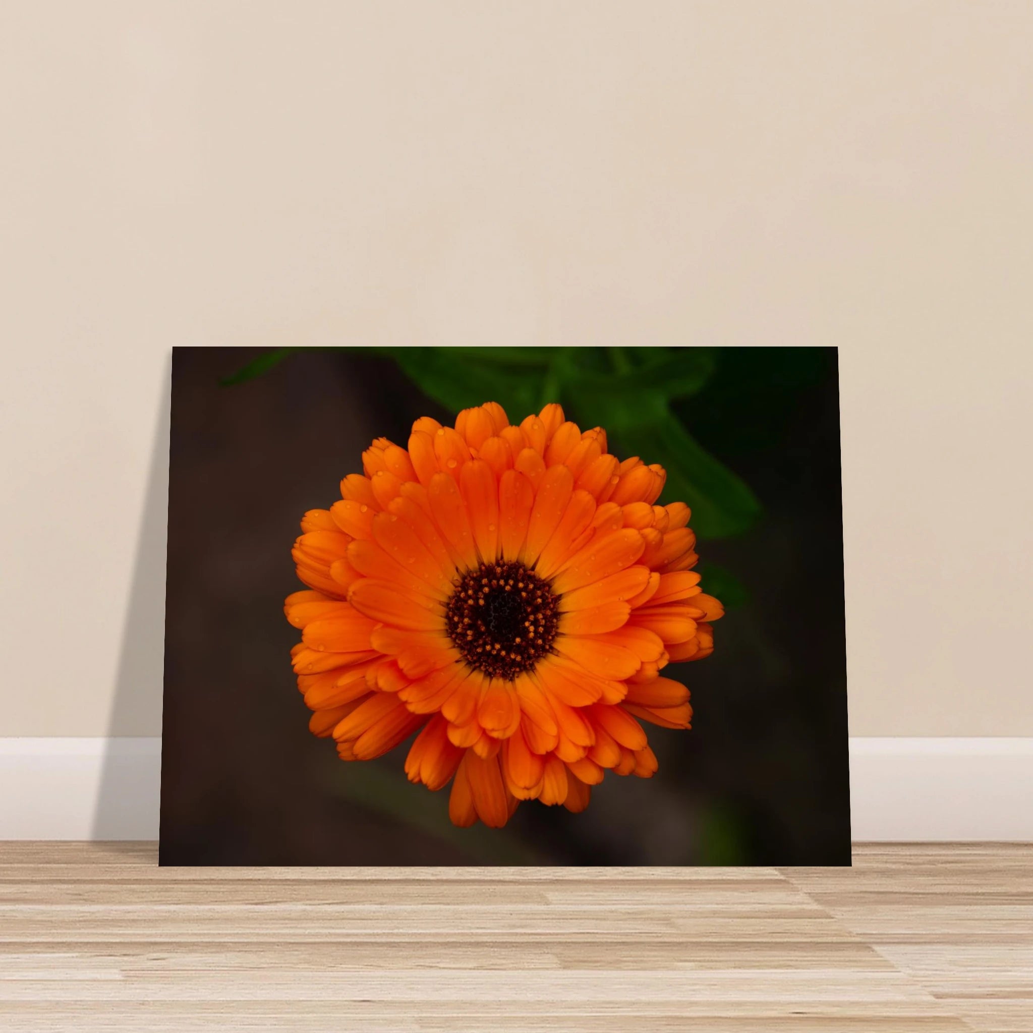 5ed47620-2e90-4e71-af14-d295d311dc84