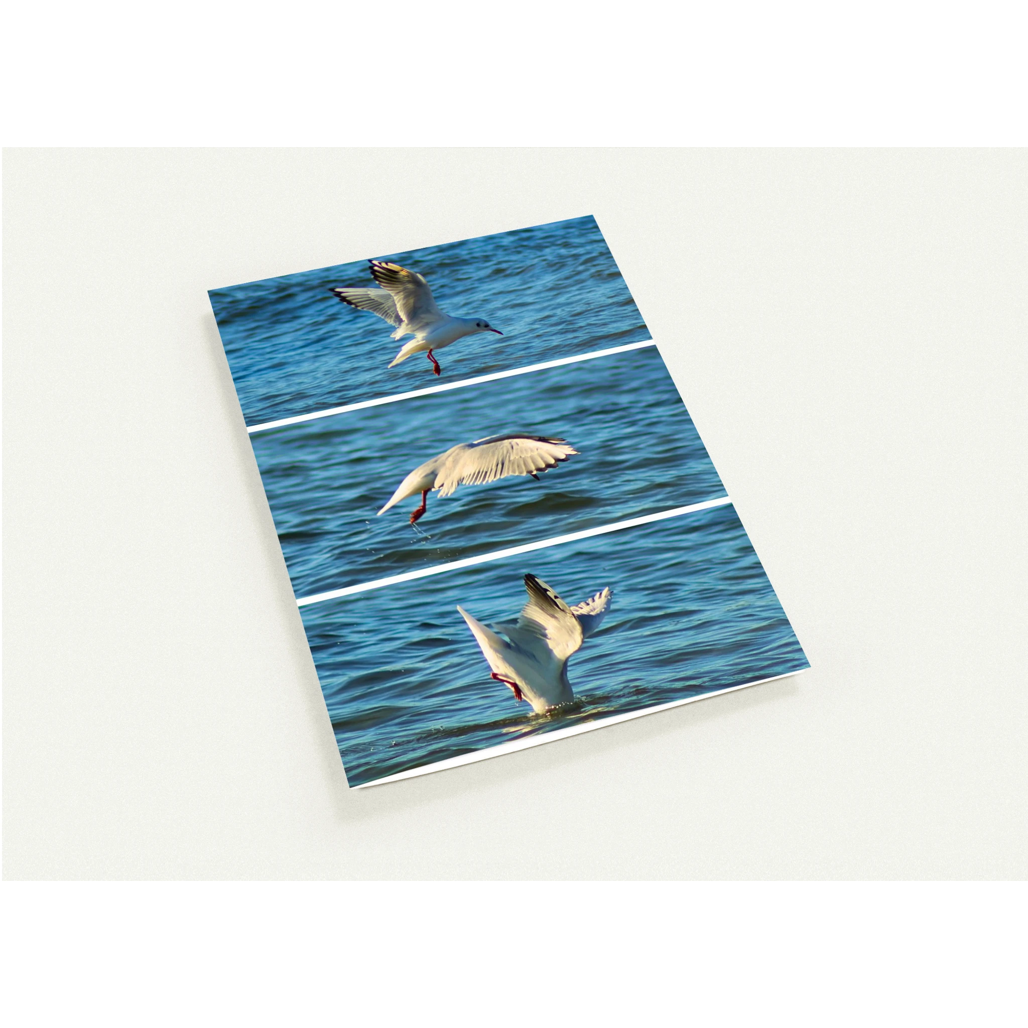 60717a98-2a52-4544-bec8-776136651082