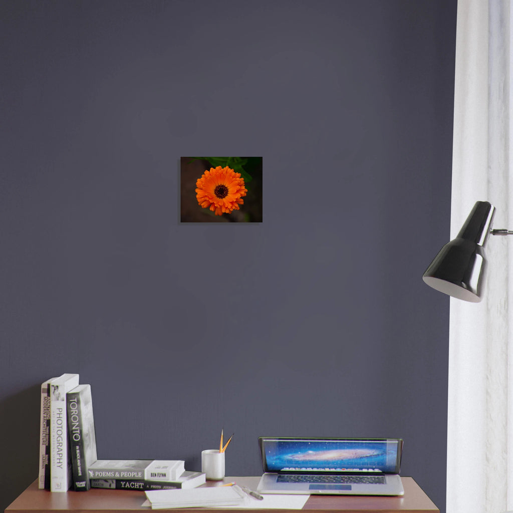 62c32741-31bb-49d5-b9ac-ac48c4fe571a