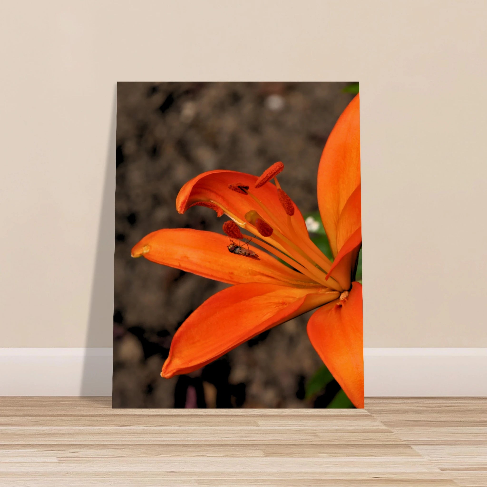 65af68de-8d0d-45c2-ac72-bfa3712b8188