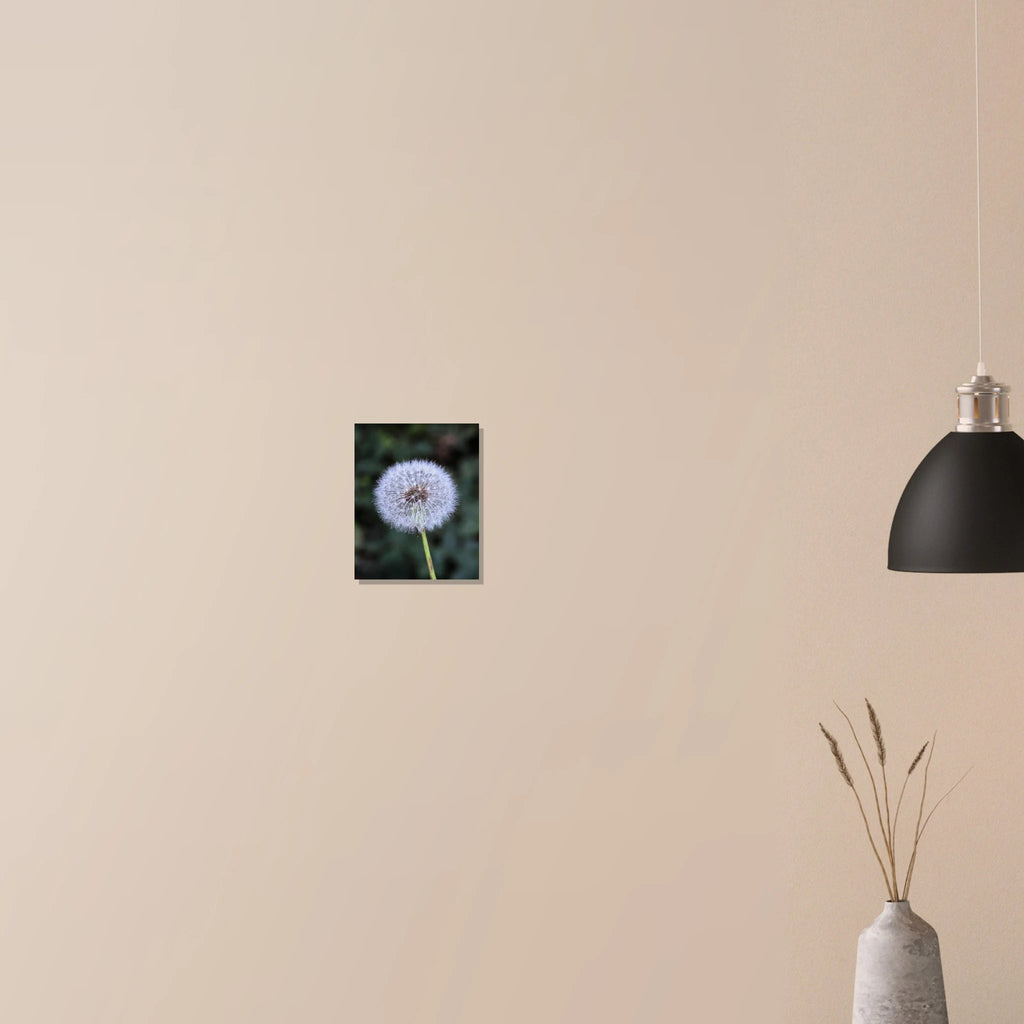 68fc3b1b-edfa-4cf3-a000-2b97eb1c4f13