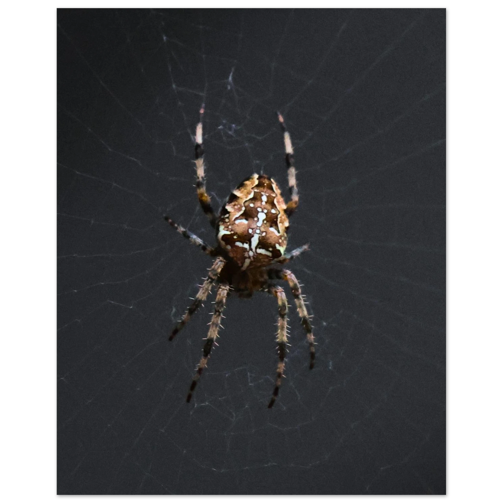 6f4dd98b-0eb6-4c7c-8d9f-af3c83402a61