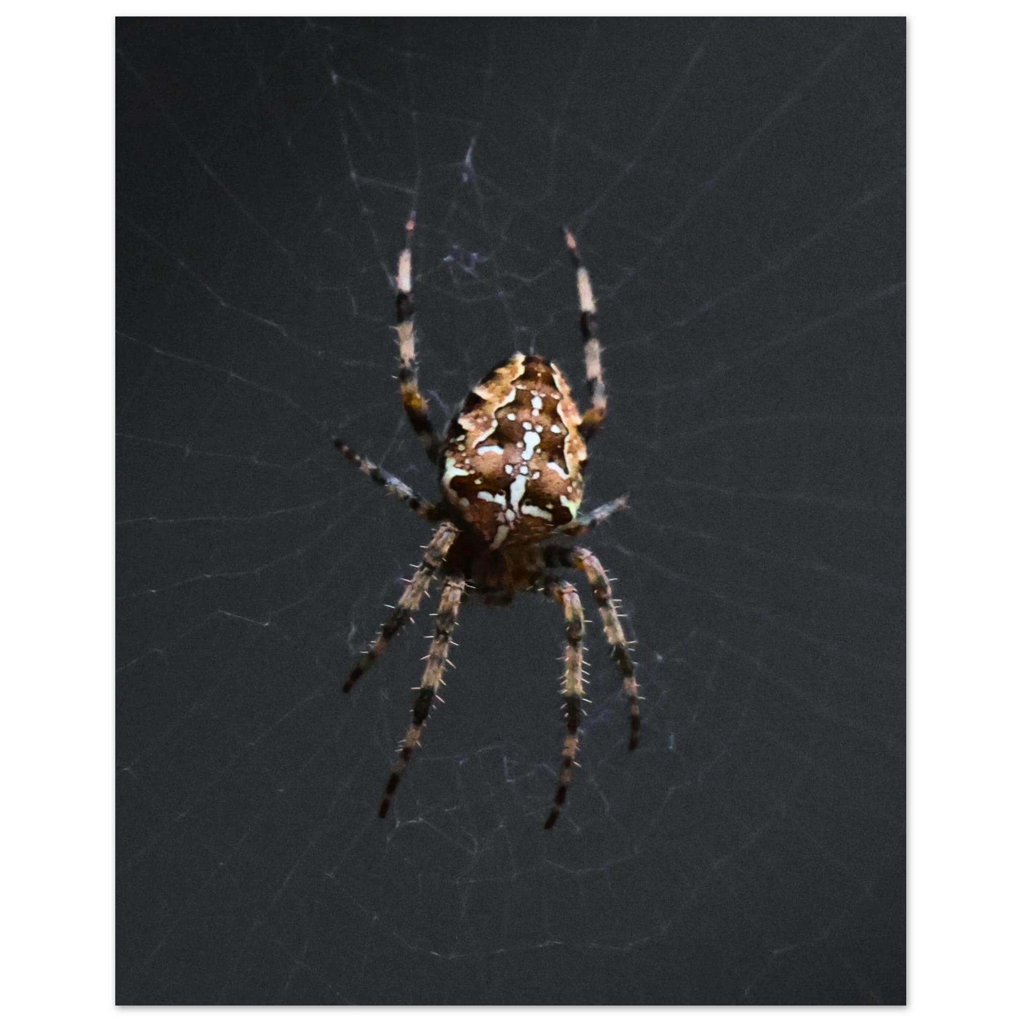 6f4dd98b-0eb6-4c7c-8d9f-af3c83402a61