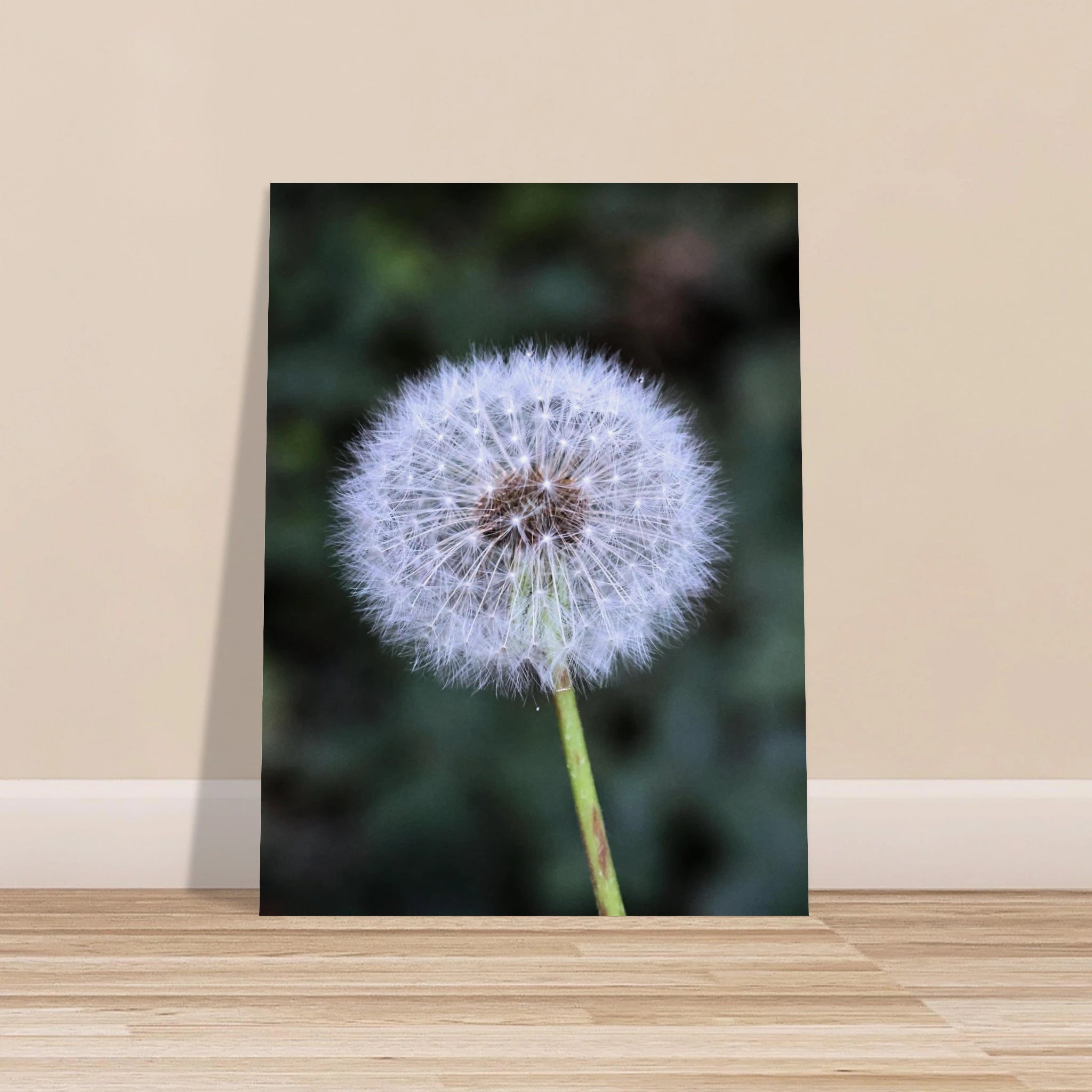 72c199cf-33a1-4908-8518-47a67c6ebd5c