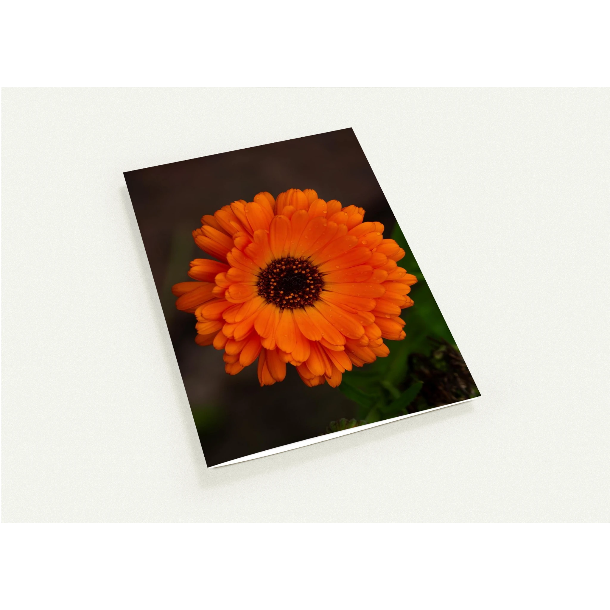 781ce334-eedd-493a-8e41-4ec7e39e3ec8