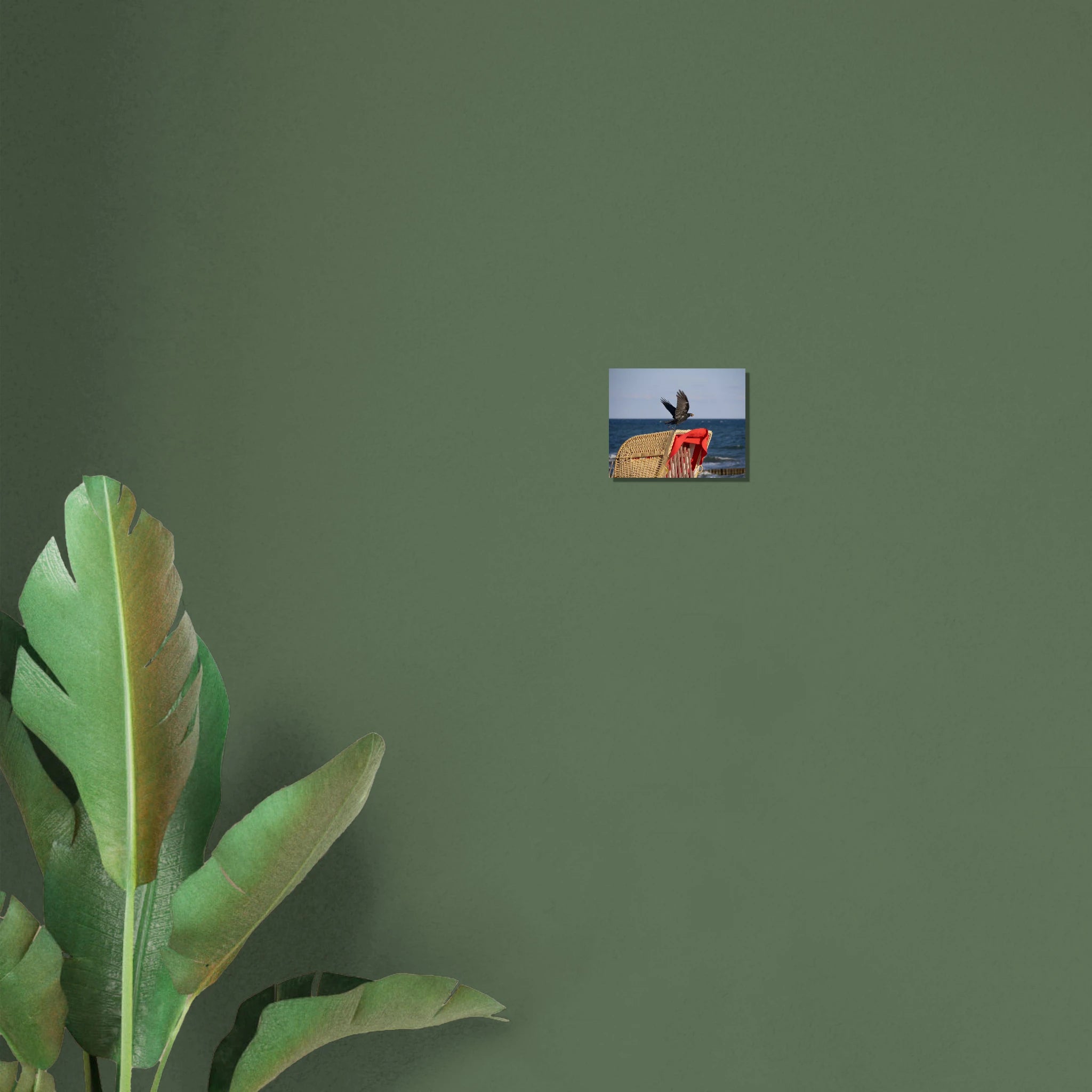 7d0b7c6a-0e47-4f42-8efa-5488df645300