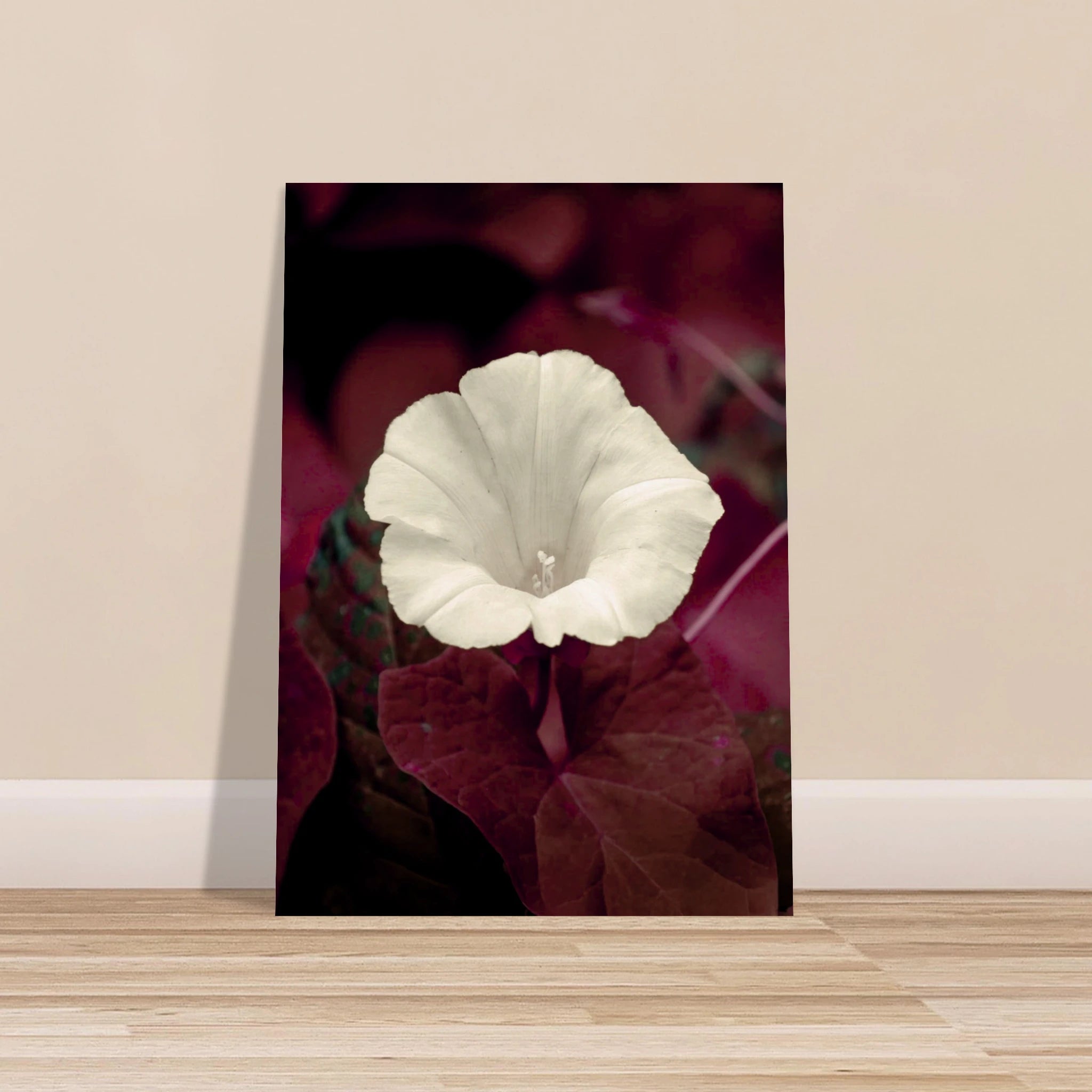 7ec1f7b6-e59b-4a89-b004-e183abe32a6a