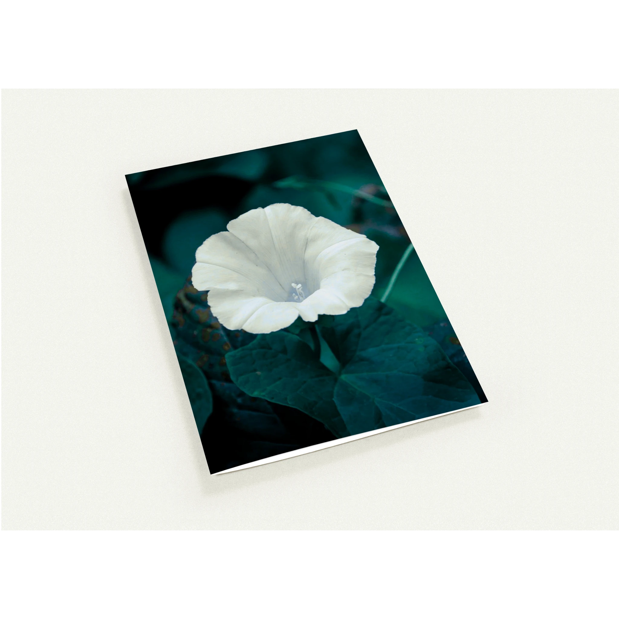 7f62521b-7d7b-4a60-9666-bb40fd381660