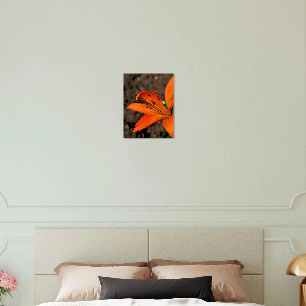 86df2631-82b5-4cf8-9797-1cfd11c665b0