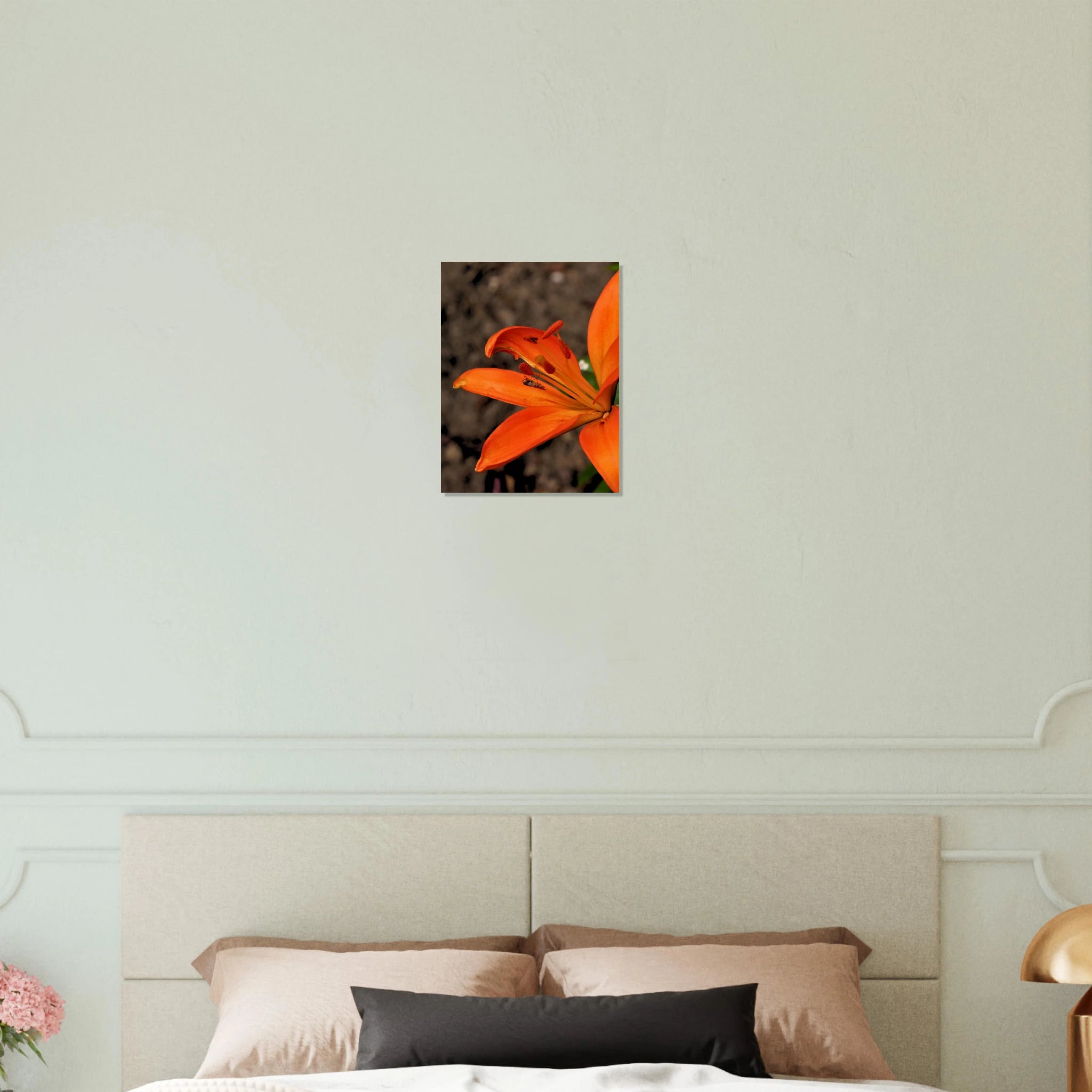 86df2631-82b5-4cf8-9797-1cfd11c665b0