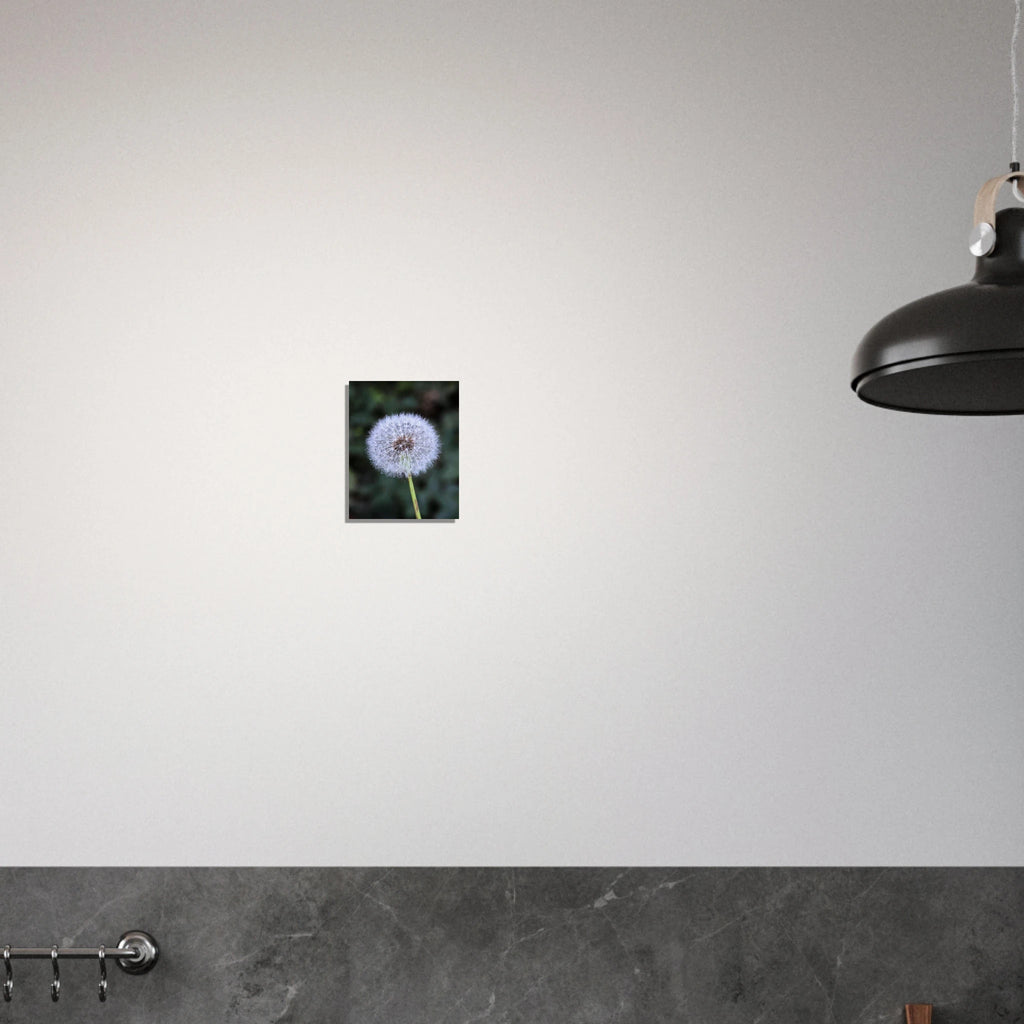 880fd2af-8afd-45af-9062-34d6b57aeafc