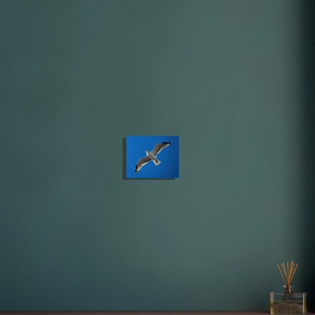 8c94228d-249a-45ea-81f9-690c6cb4ecb6