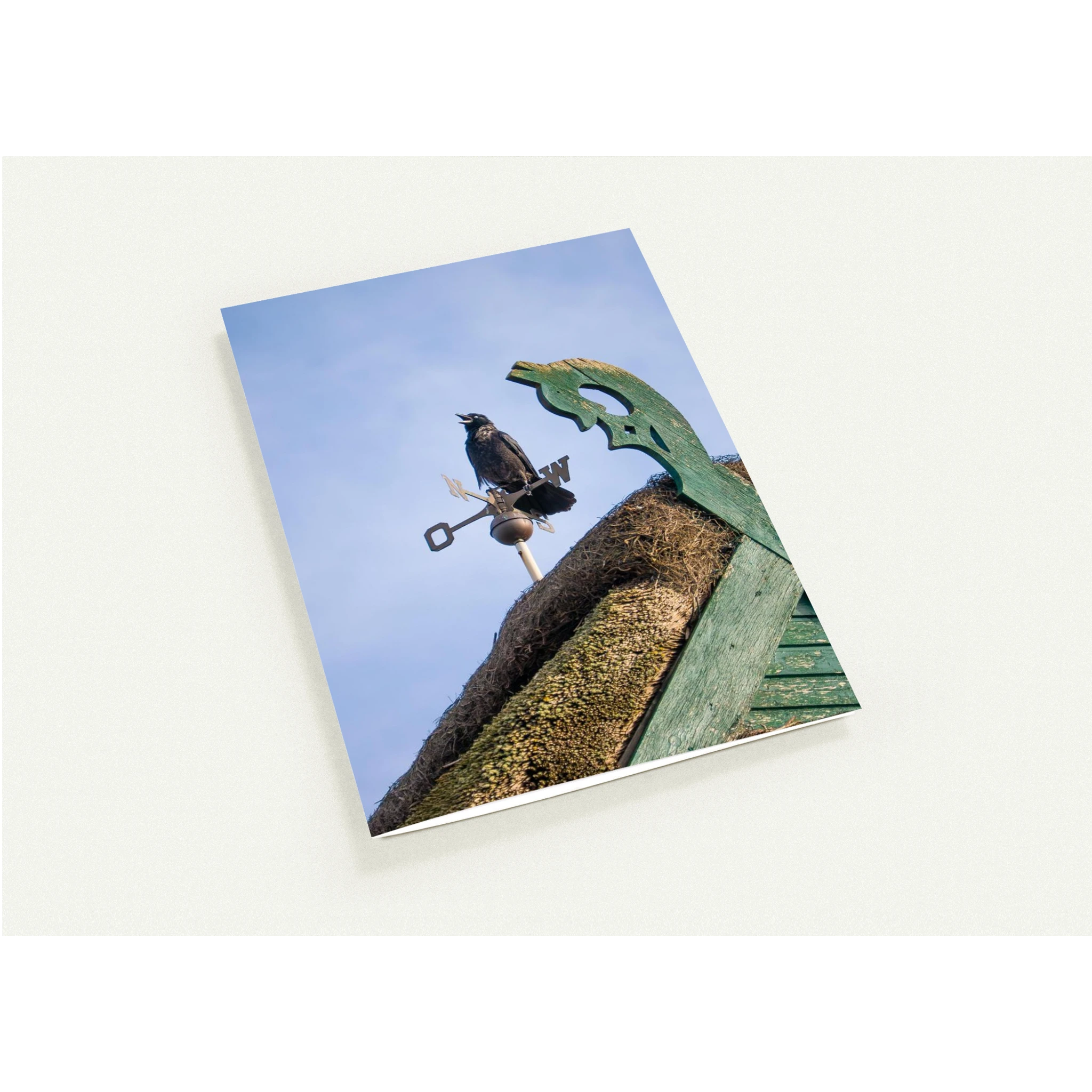 94788f41-5956-4a5a-9a5f-a9321d0bba76