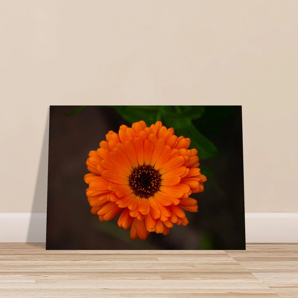 99b84191-6b10-406e-b3b4-05d4a77e2944