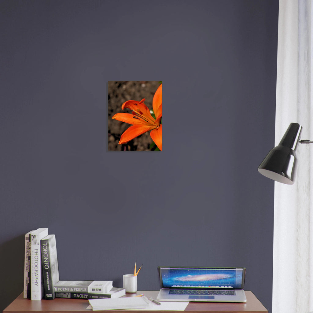 9c7b4416-7958-4c49-92a8-e7ba1d3ad4dd