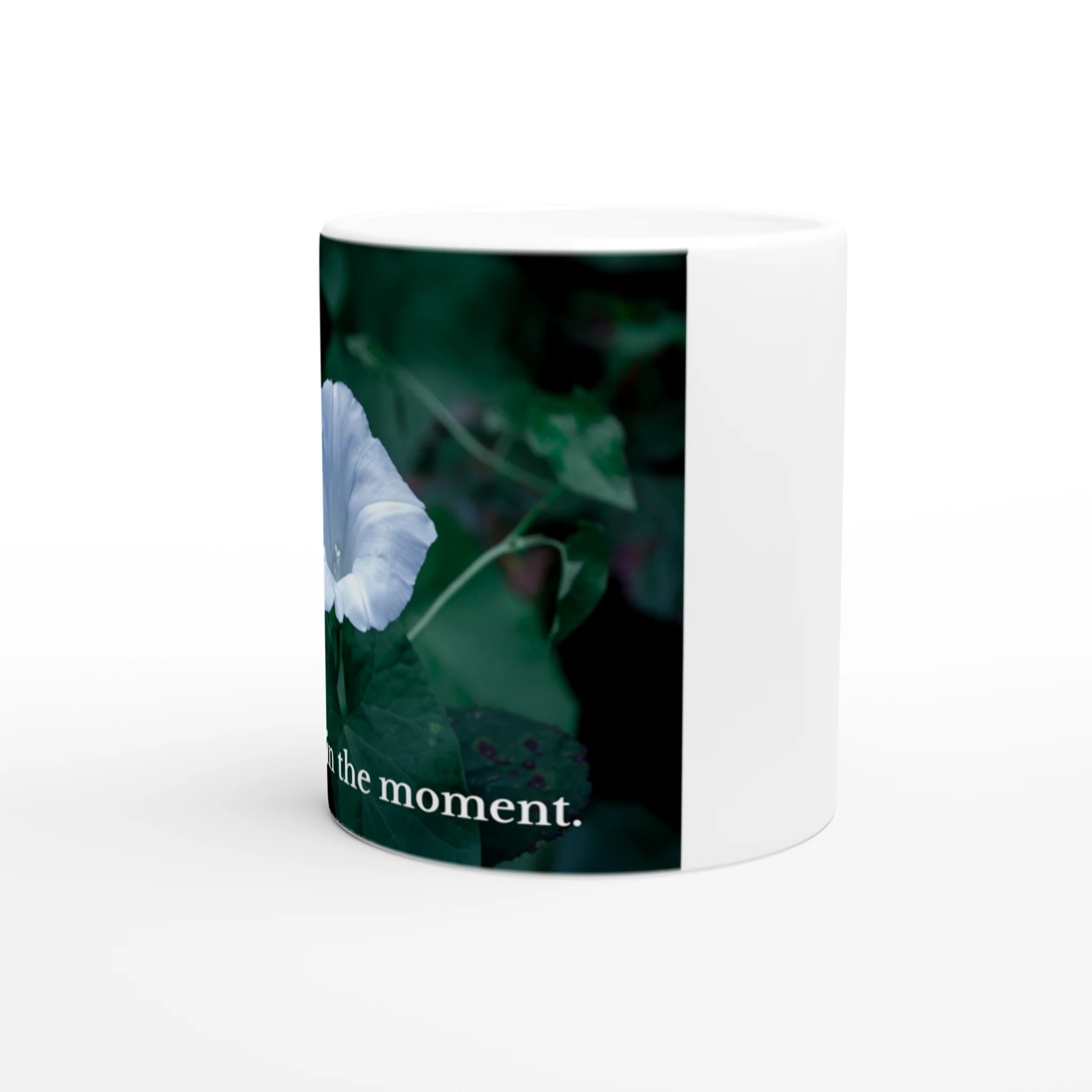 b15067d2-f03d-4585-9b26-320747eddf85