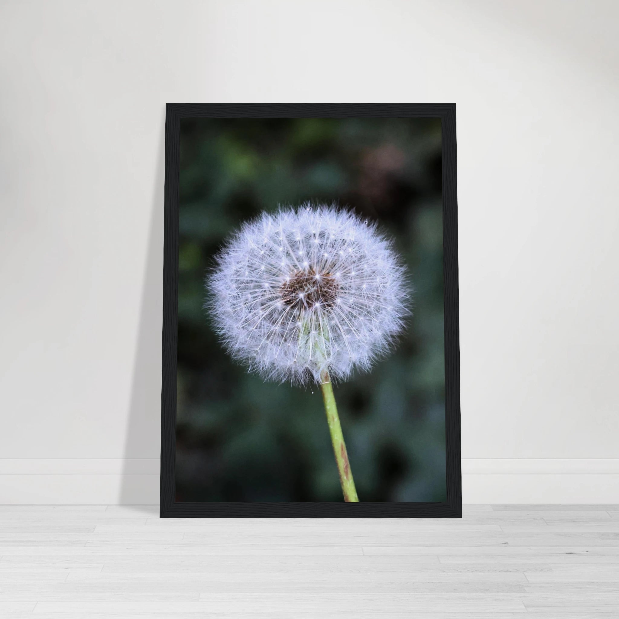 b3812ac7-db6f-4a54-a151-0c784c08a16b