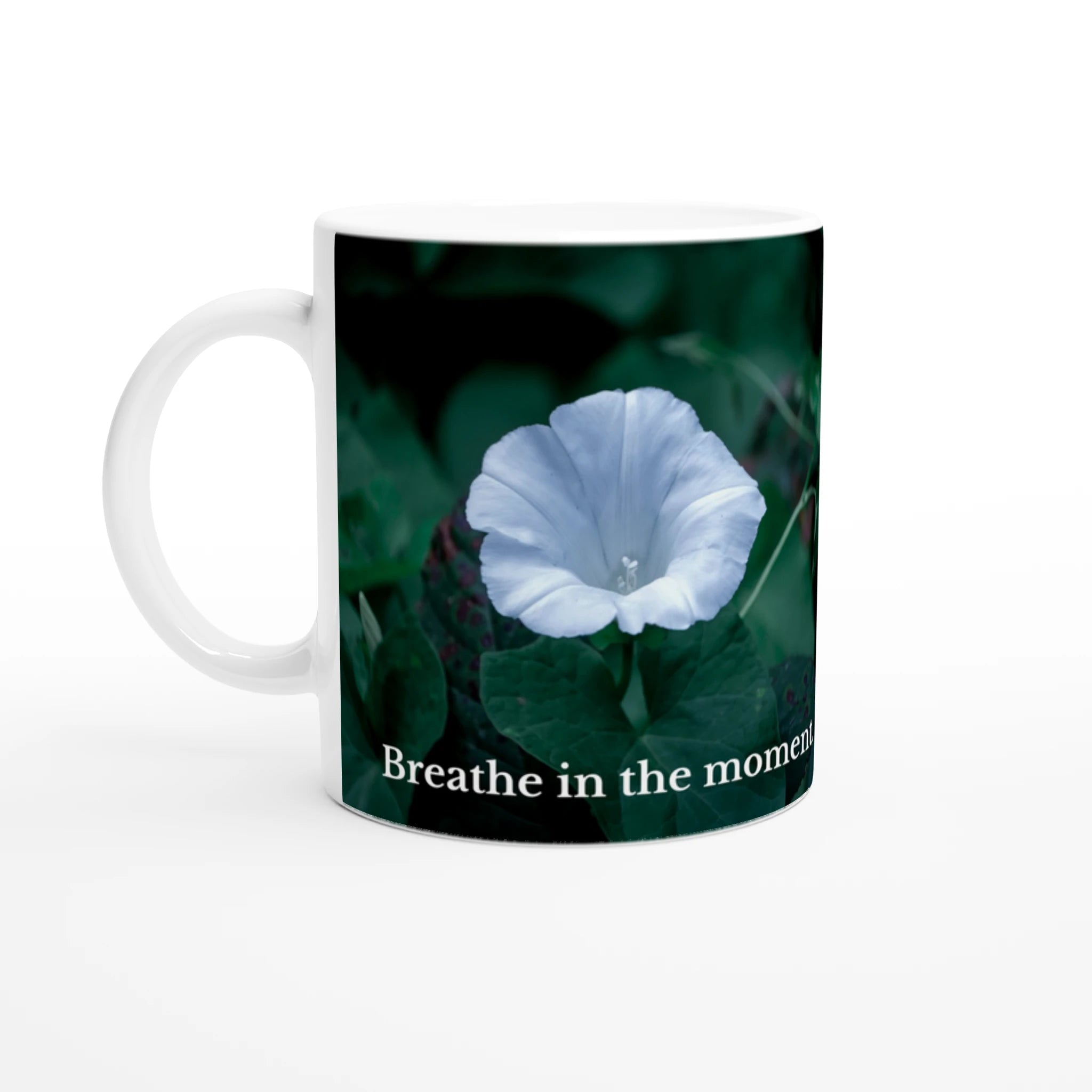 b7fb6fb0-bad1-4ed6-b77c-95f05fd2152e