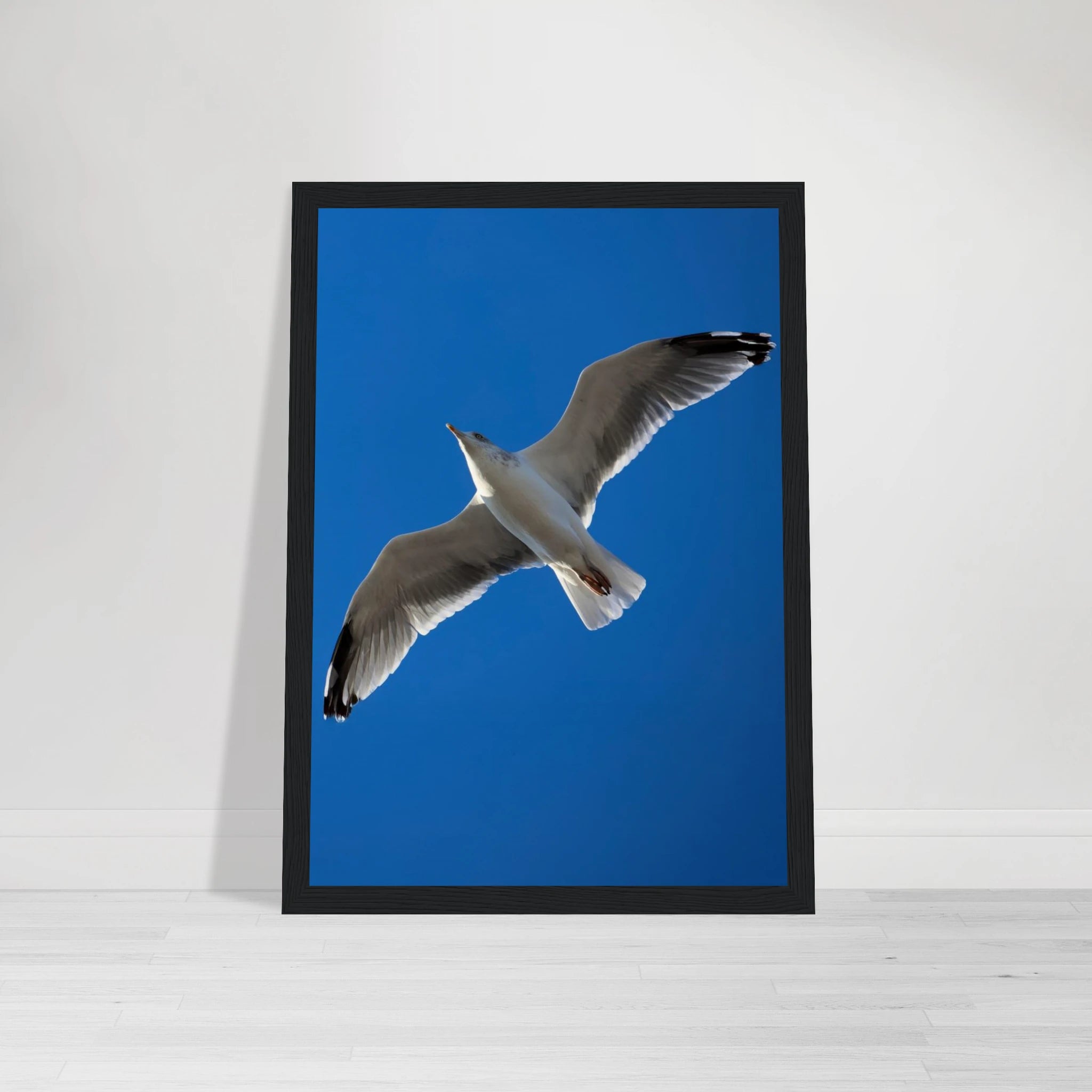 be59ee17-7916-4f00-b230-b0aabcf5158d