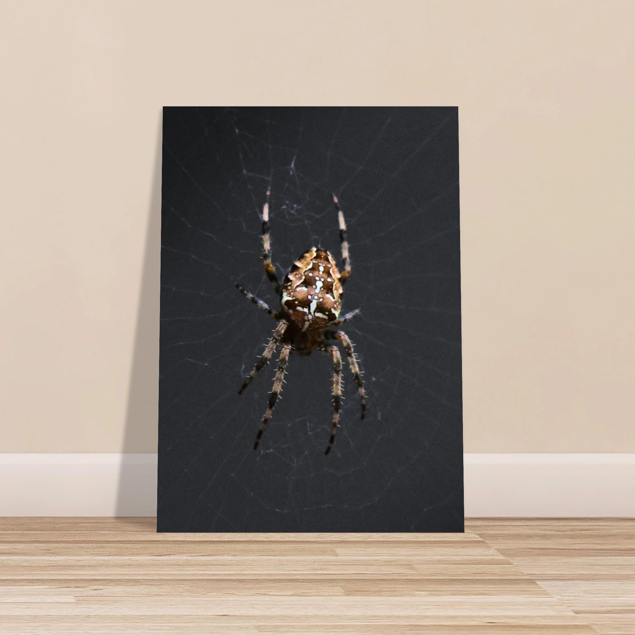 be668a97-a13f-406f-bf89-73ca9f9620f5