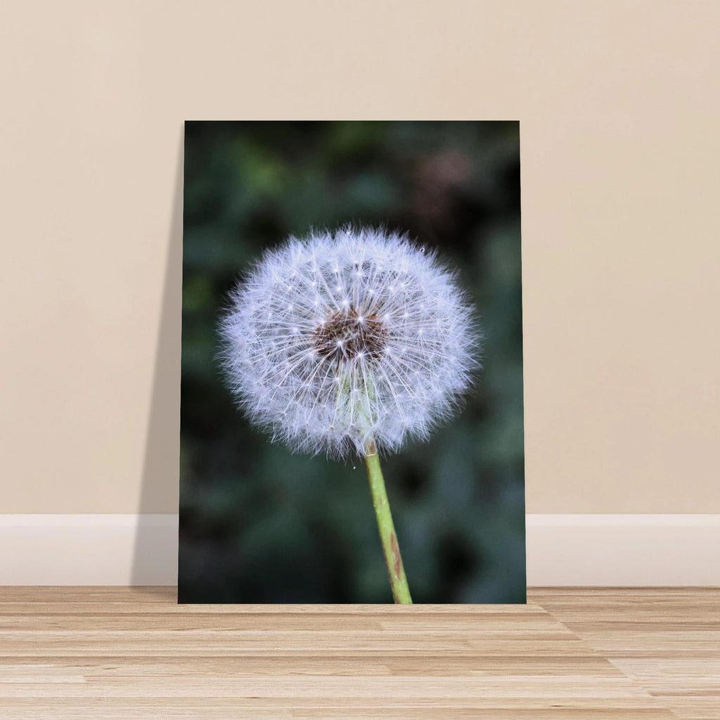 beca1090-808c-4b14-9df4-e56cbf88e1d7