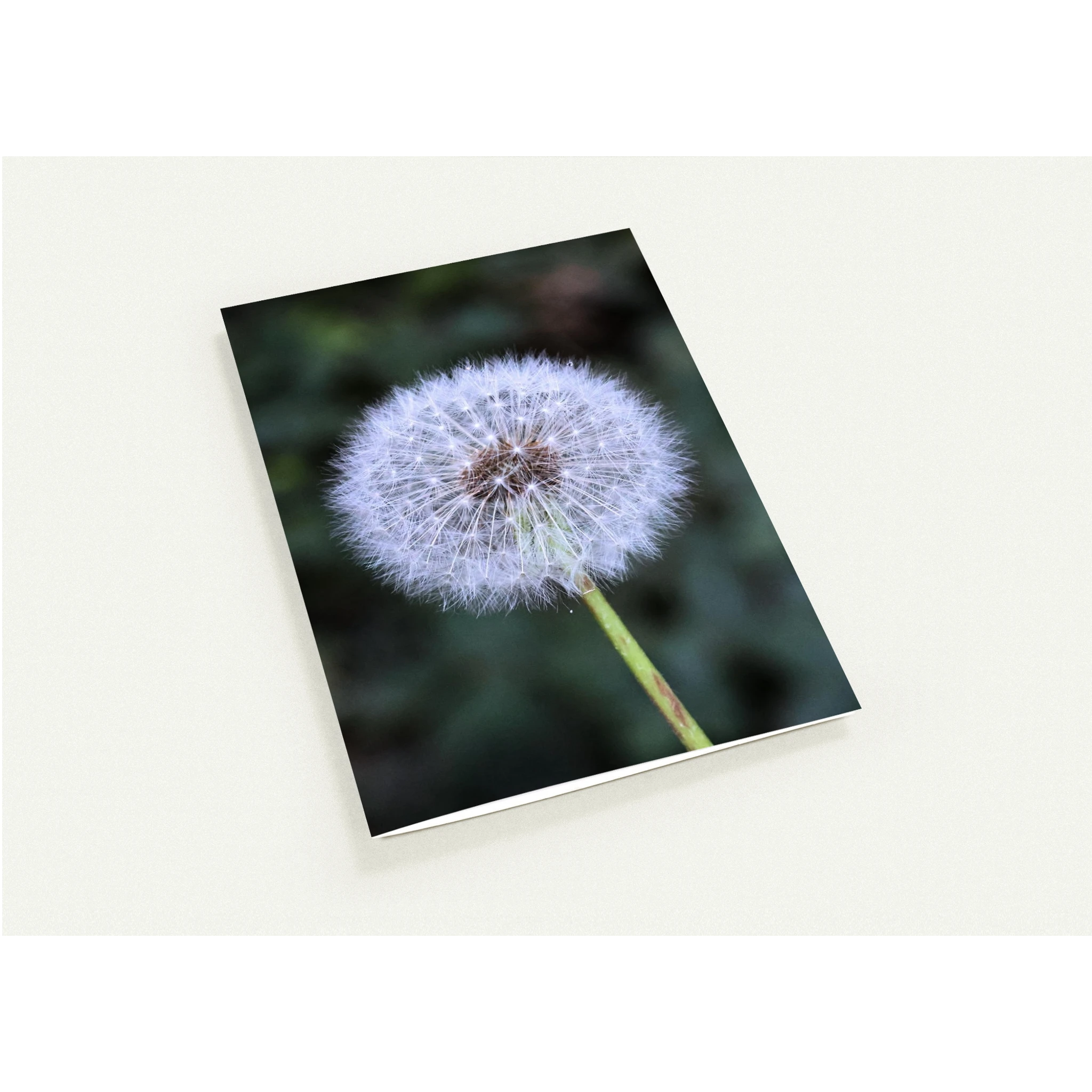 c34cd0bb-7c96-40f7-9b06-8e87ba01764e