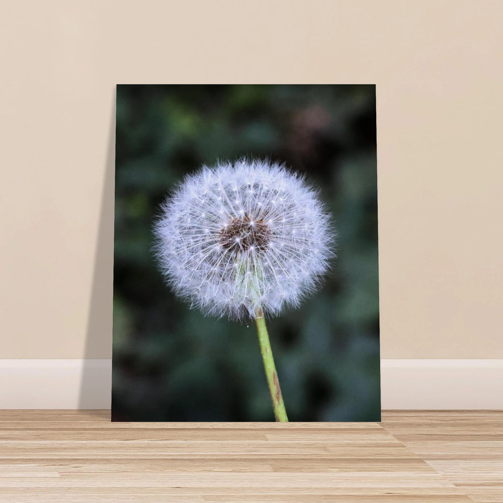 c5c38ea6-d1af-48ee-a820-2c367d3c4da1