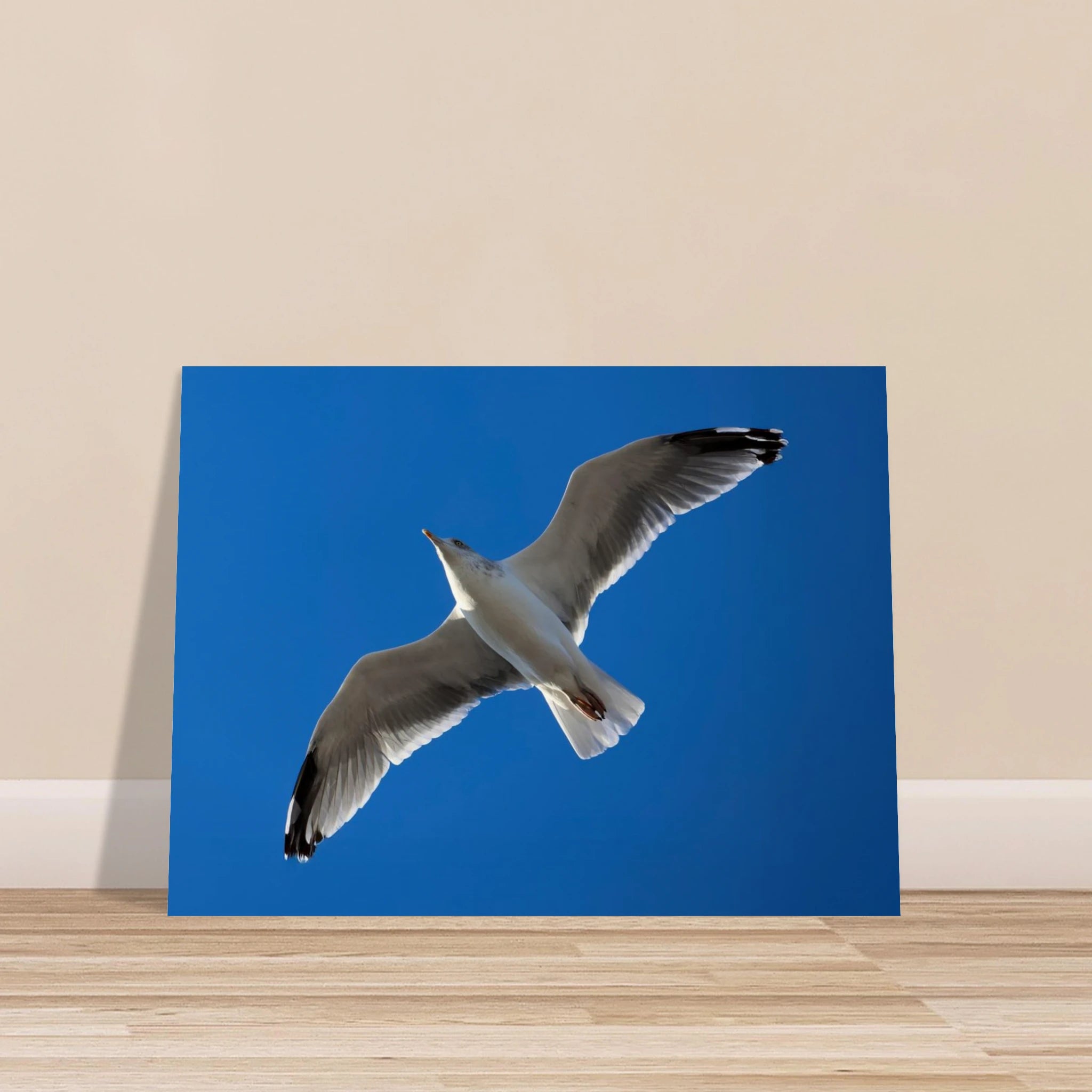 cee2d929-18d1-4dfd-aa11-4ae78291f3ad