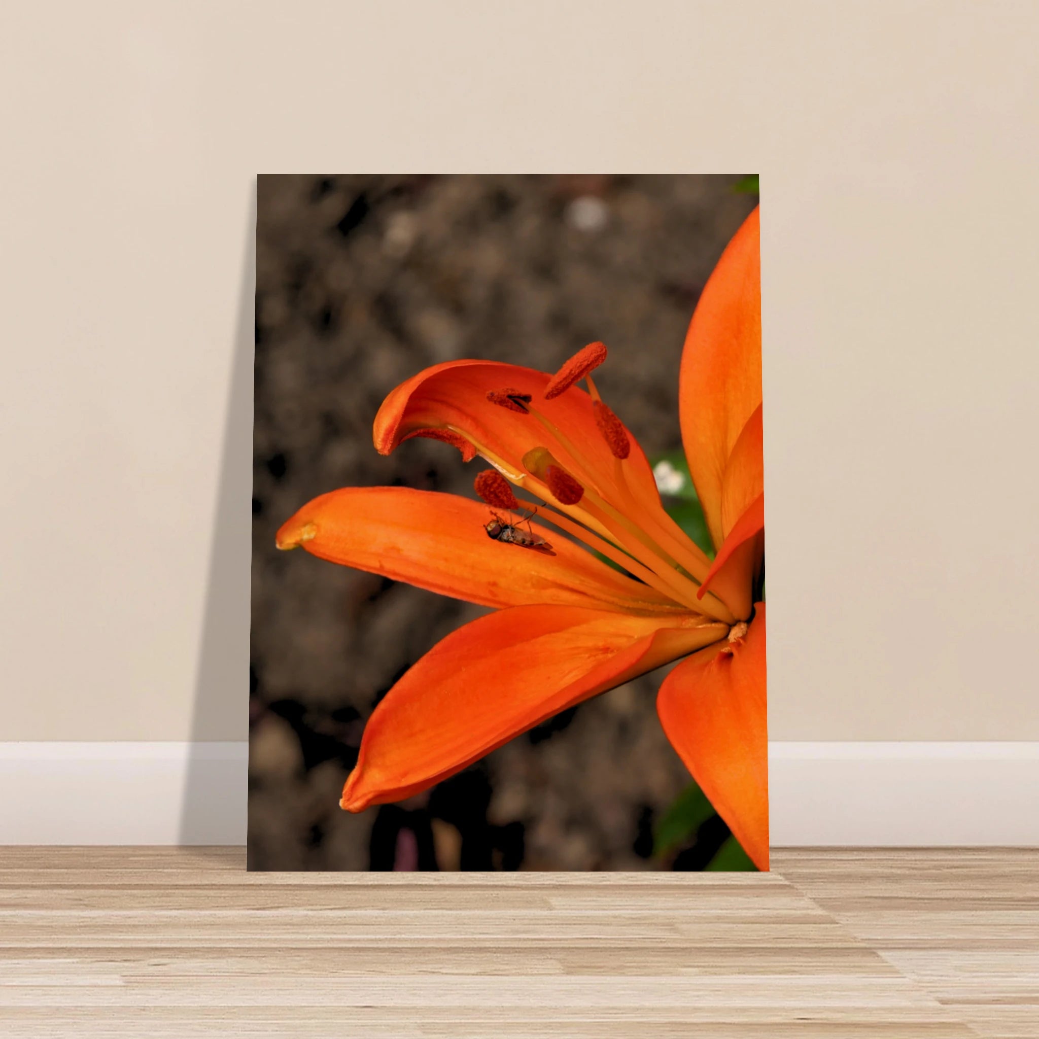 d2d3d54e-b491-4d0a-8e94-2c52f9bc72cf