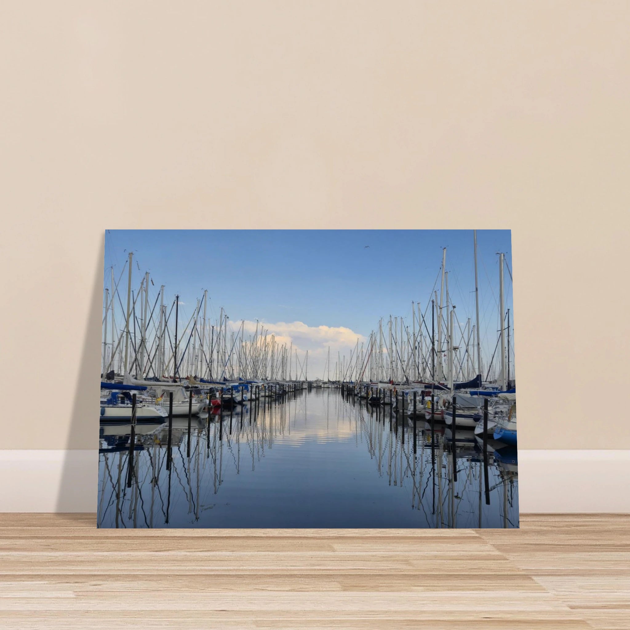 d80b7a6e-ca0f-471d-87c1-e957a57b81d6