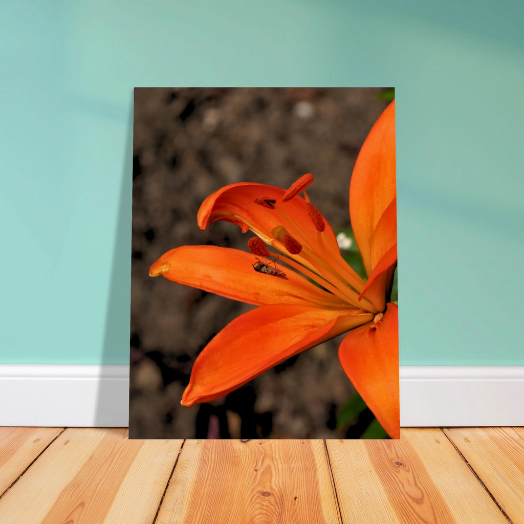 e788471f-53fe-4ad3-8ac7-170c33062754