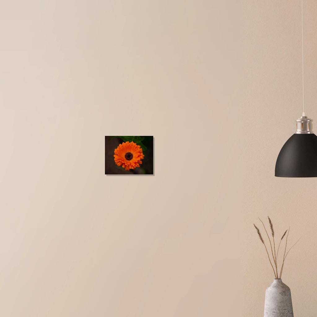 ef552b10-2233-430d-9fe5-04cdc6c84eba