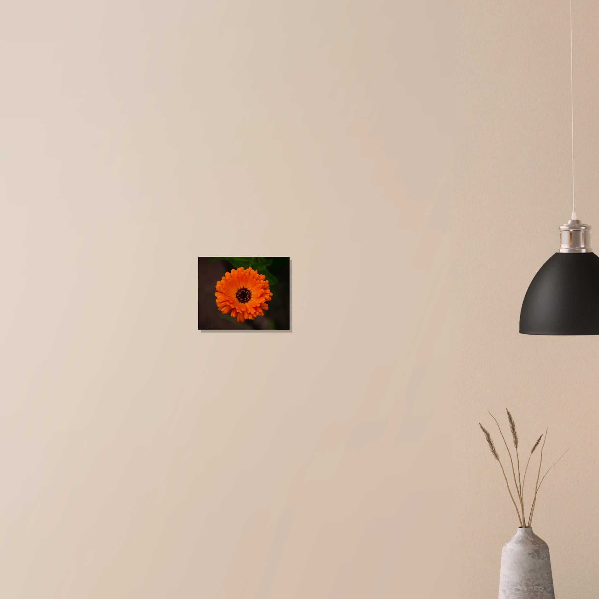 ef552b10-2233-430d-9fe5-04cdc6c84eba