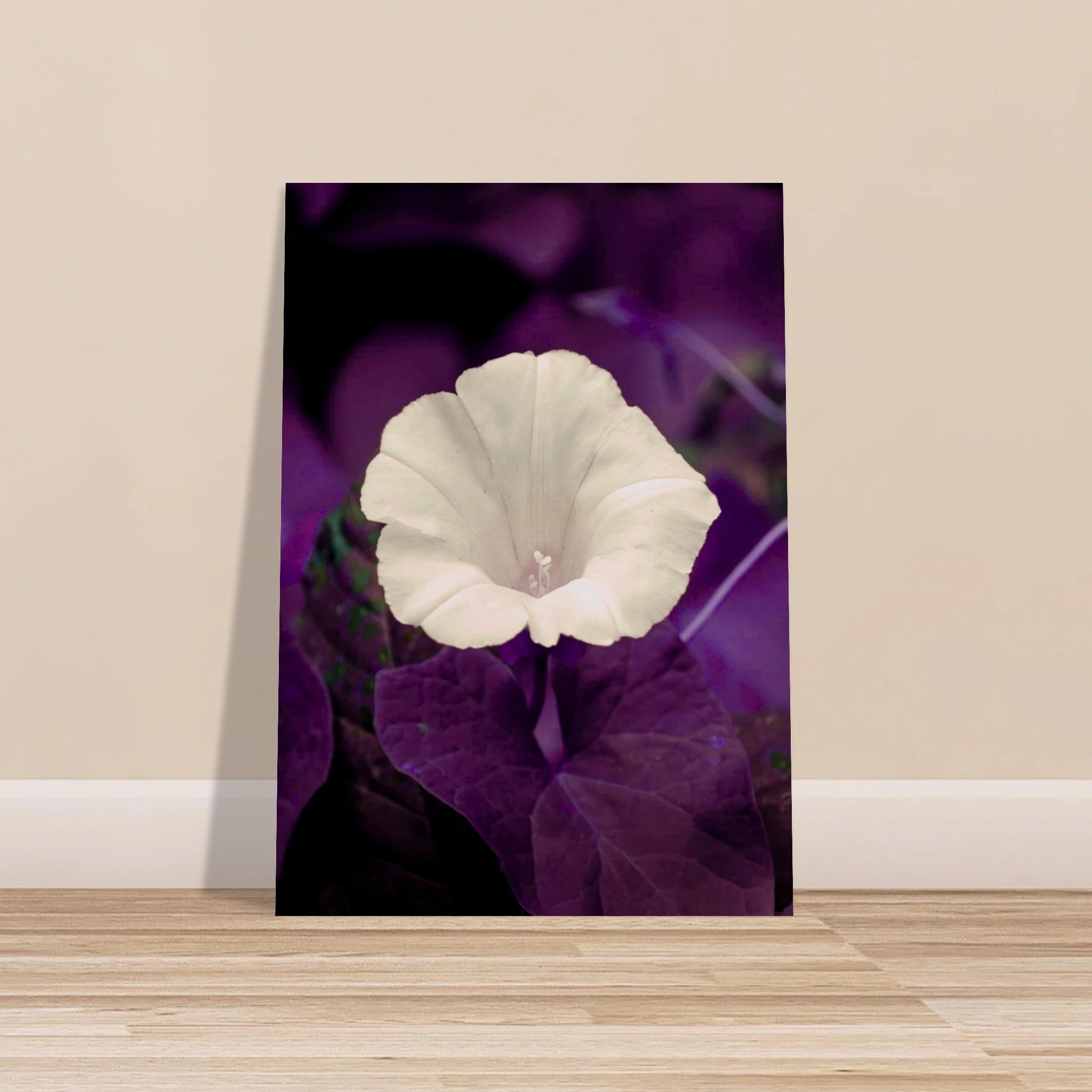 fb7cde4c-cd5e-455b-b241-39ba4ddcb8ee