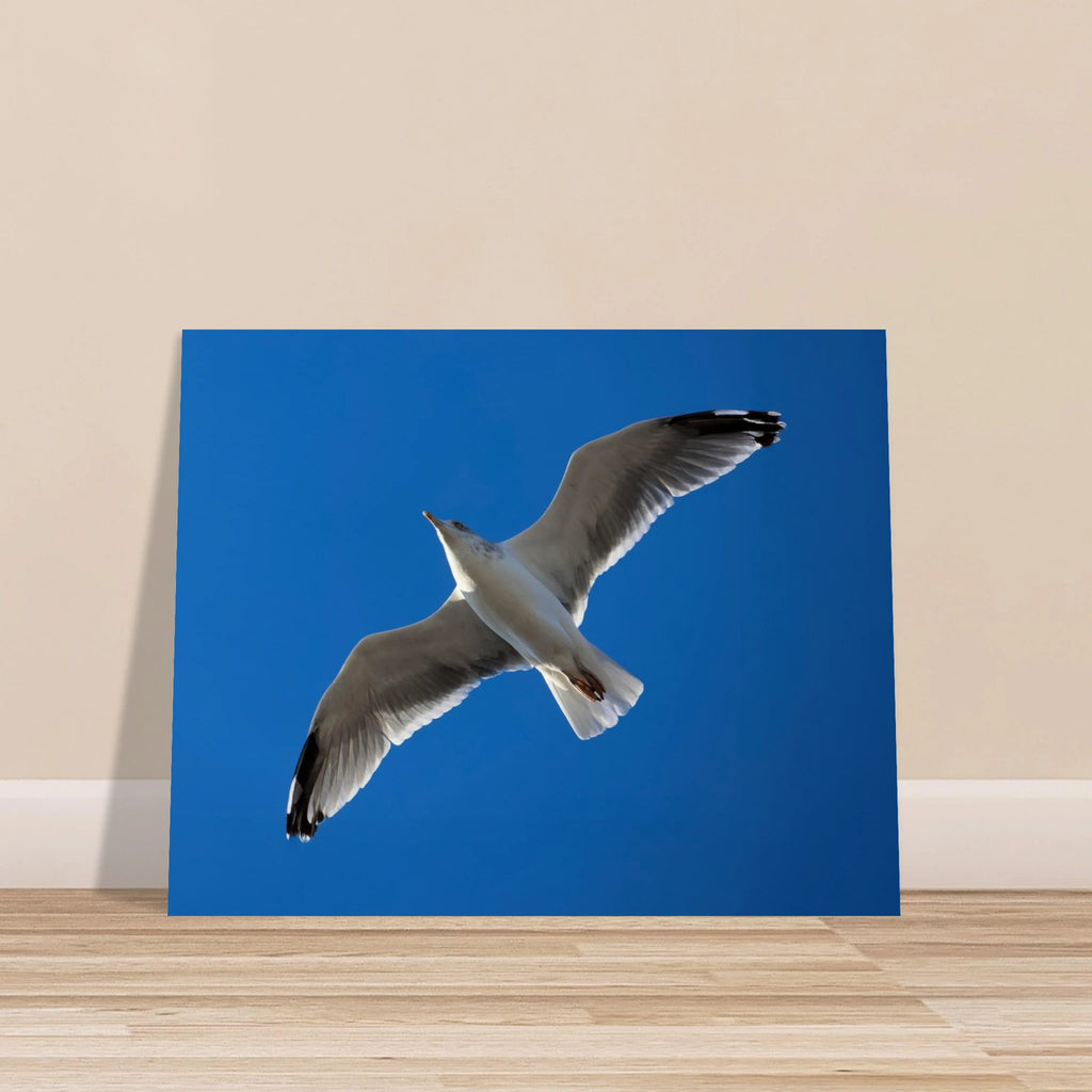 fbb7a83f-ebe3-47c7-8c63-f8d455d93a15