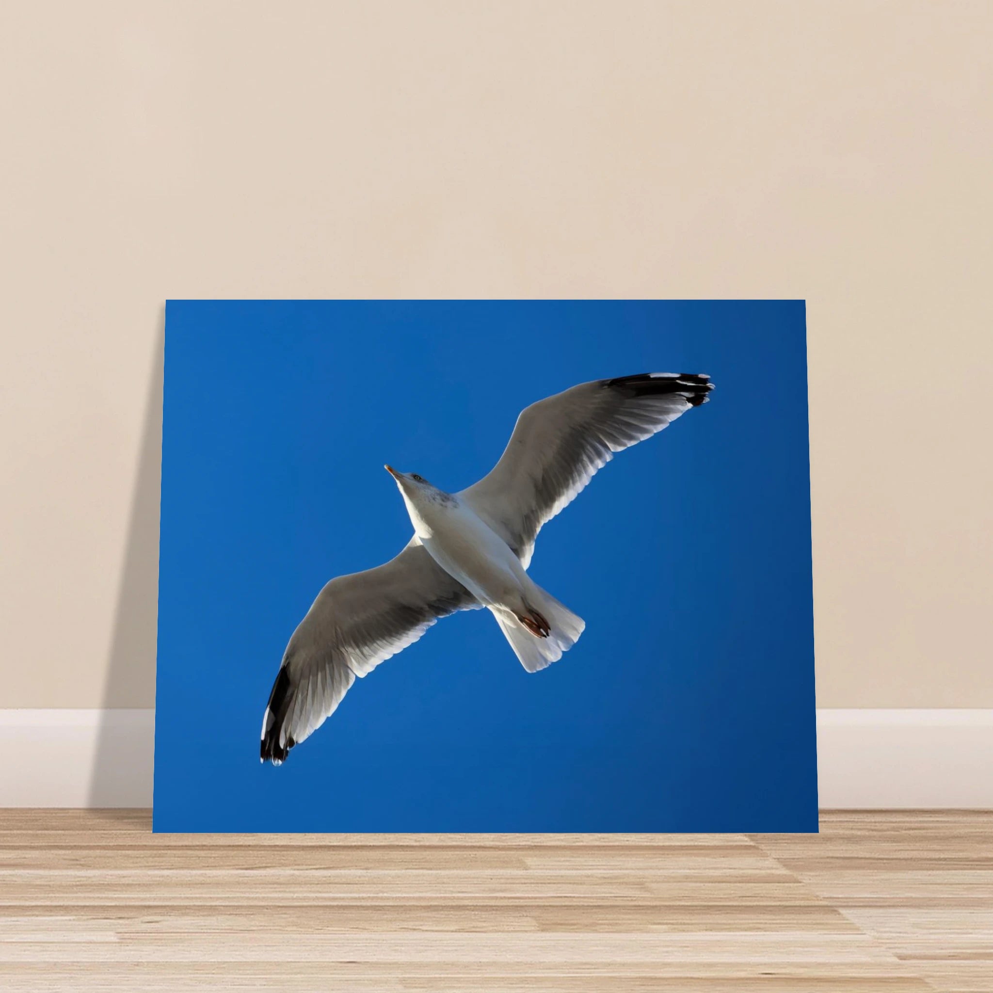 fbb7a83f-ebe3-47c7-8c63-f8d455d93a15